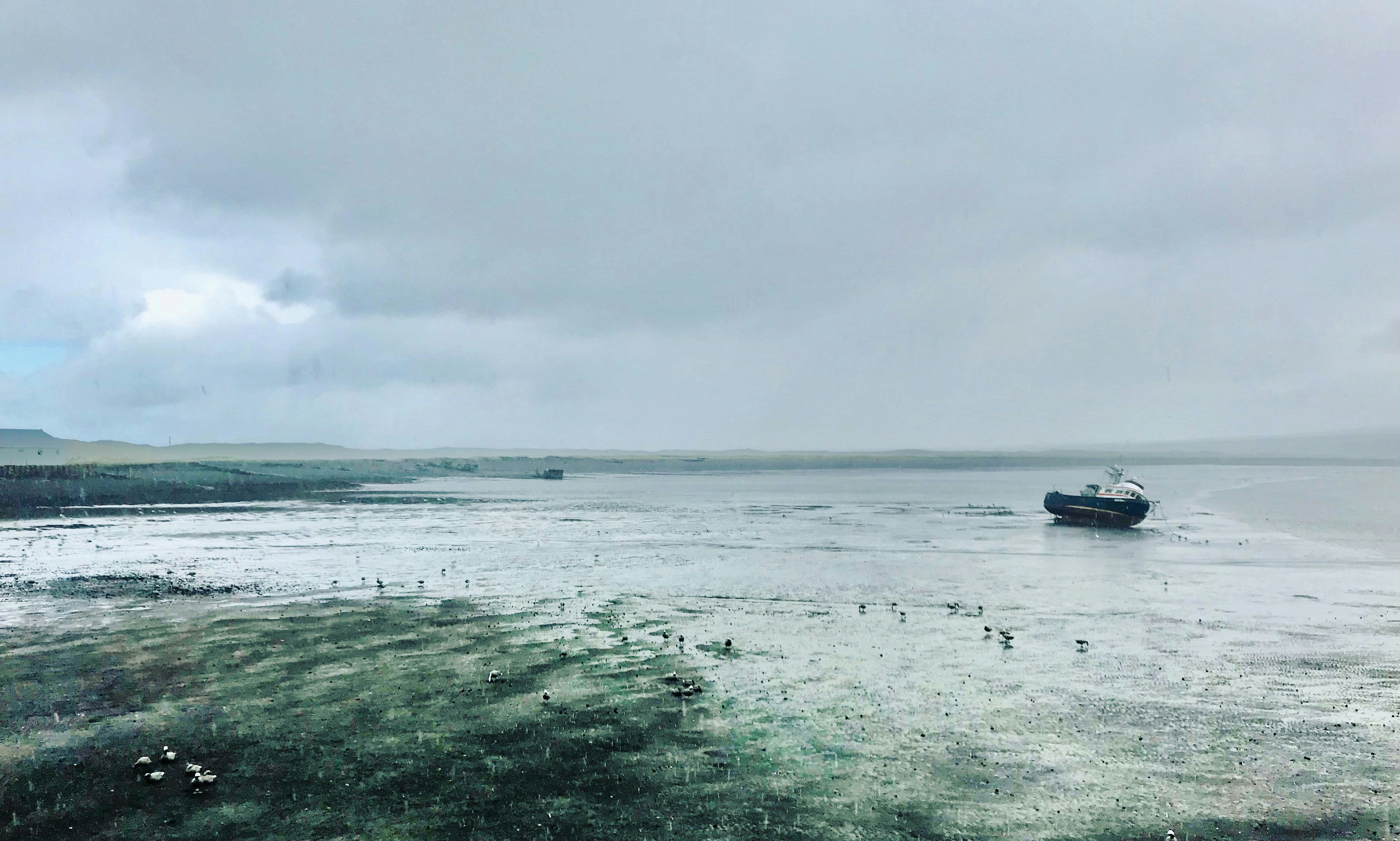 Photo by dobrovolsky