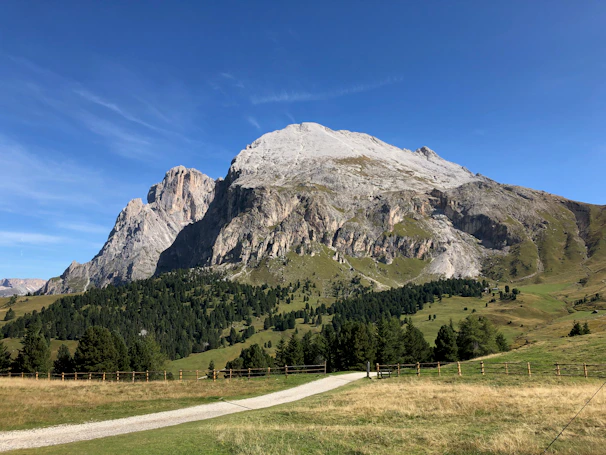 a road leading to a mountain