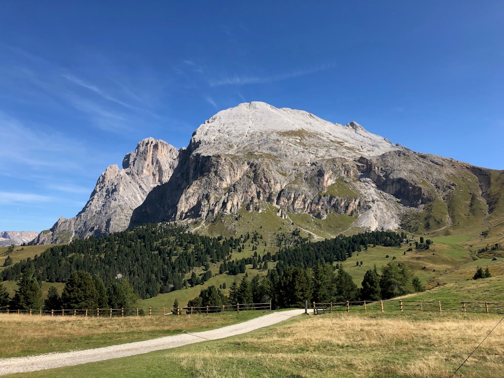 a road leading to a mountain