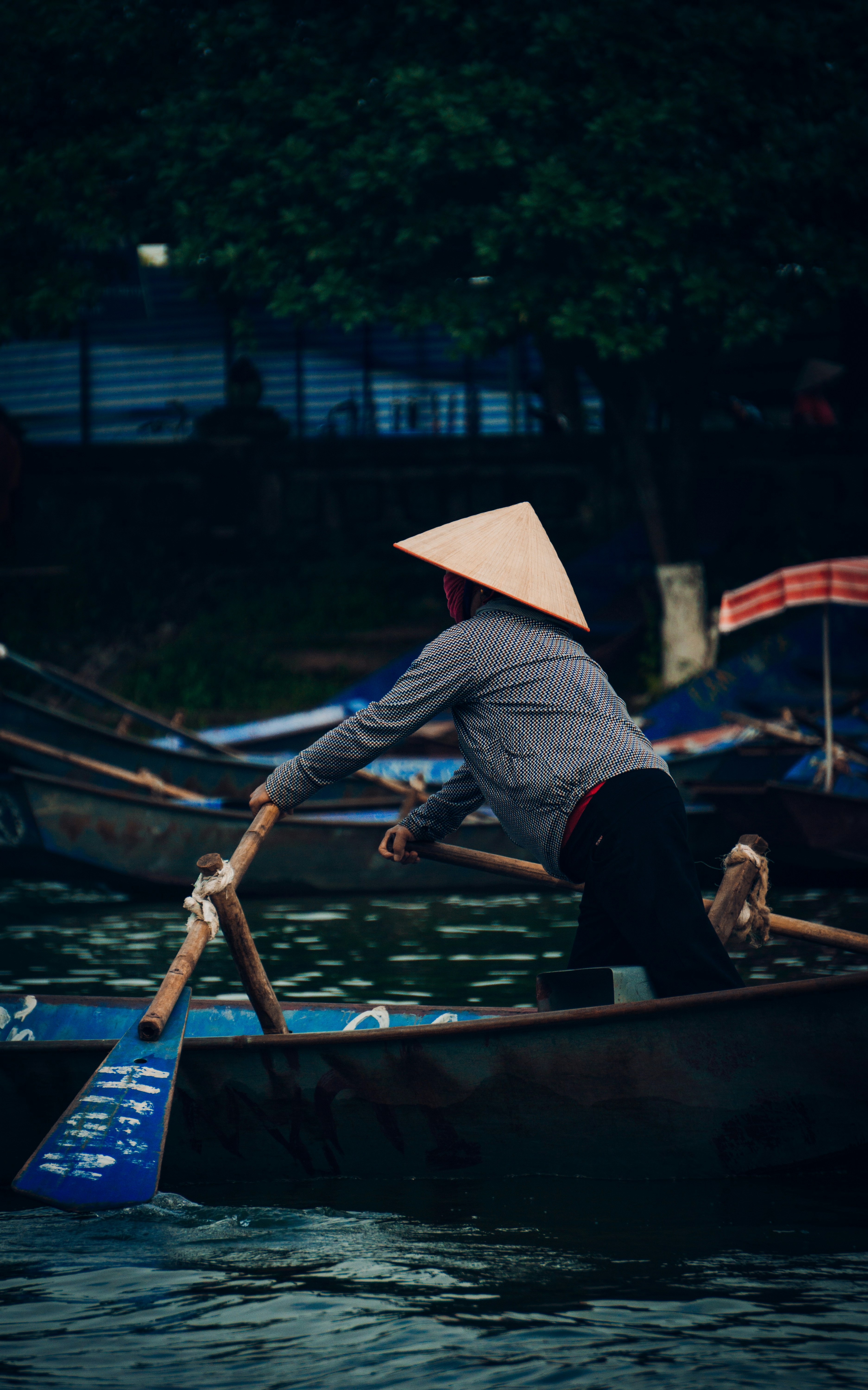 Photo by tienvn3012