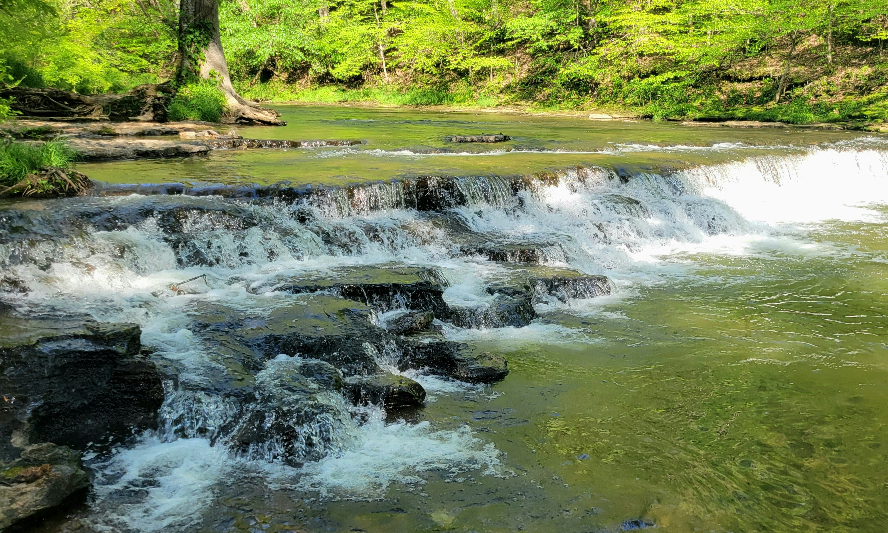 Photo by sierra_williams00