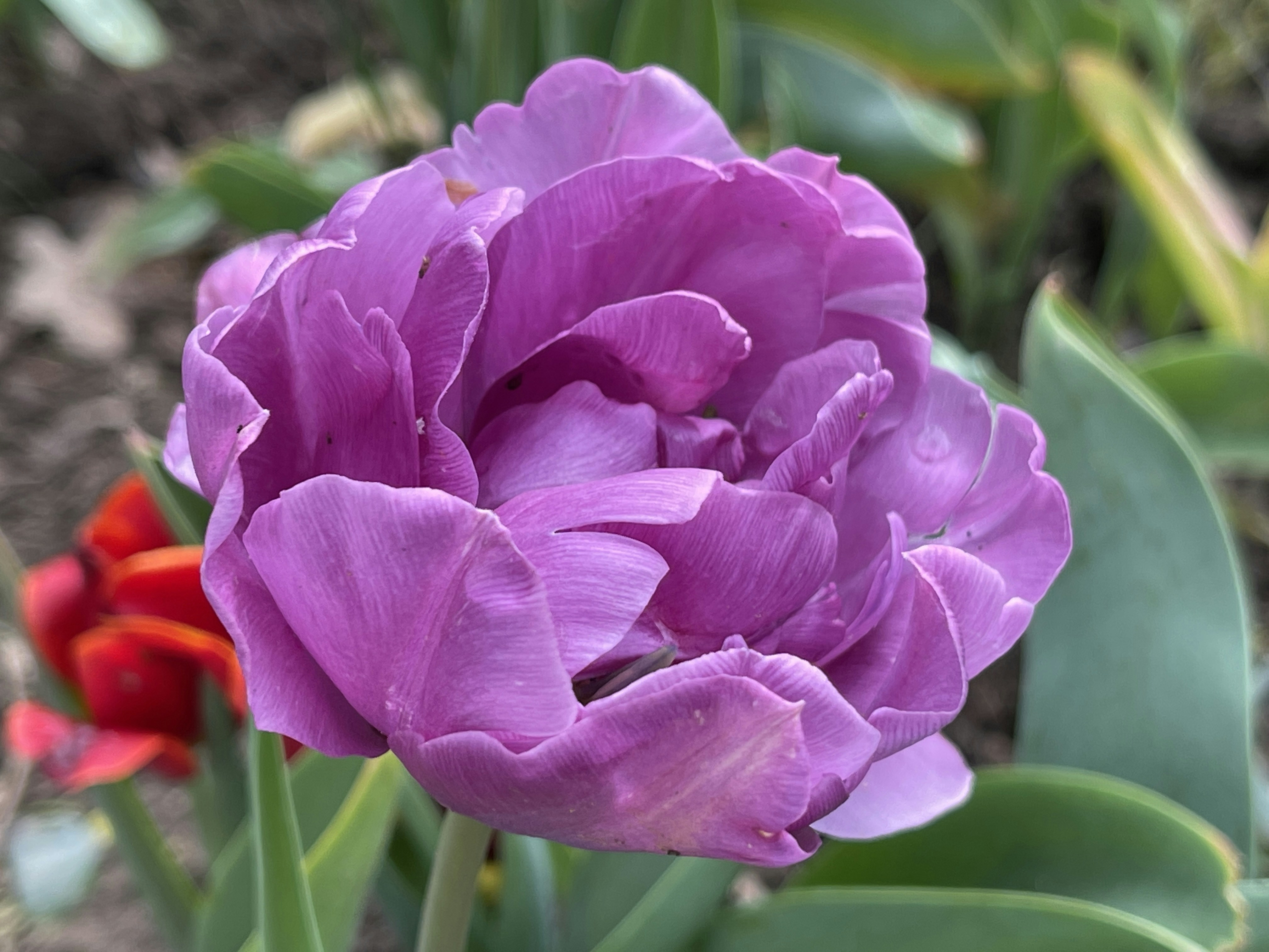 Photo by _jeremiah85_