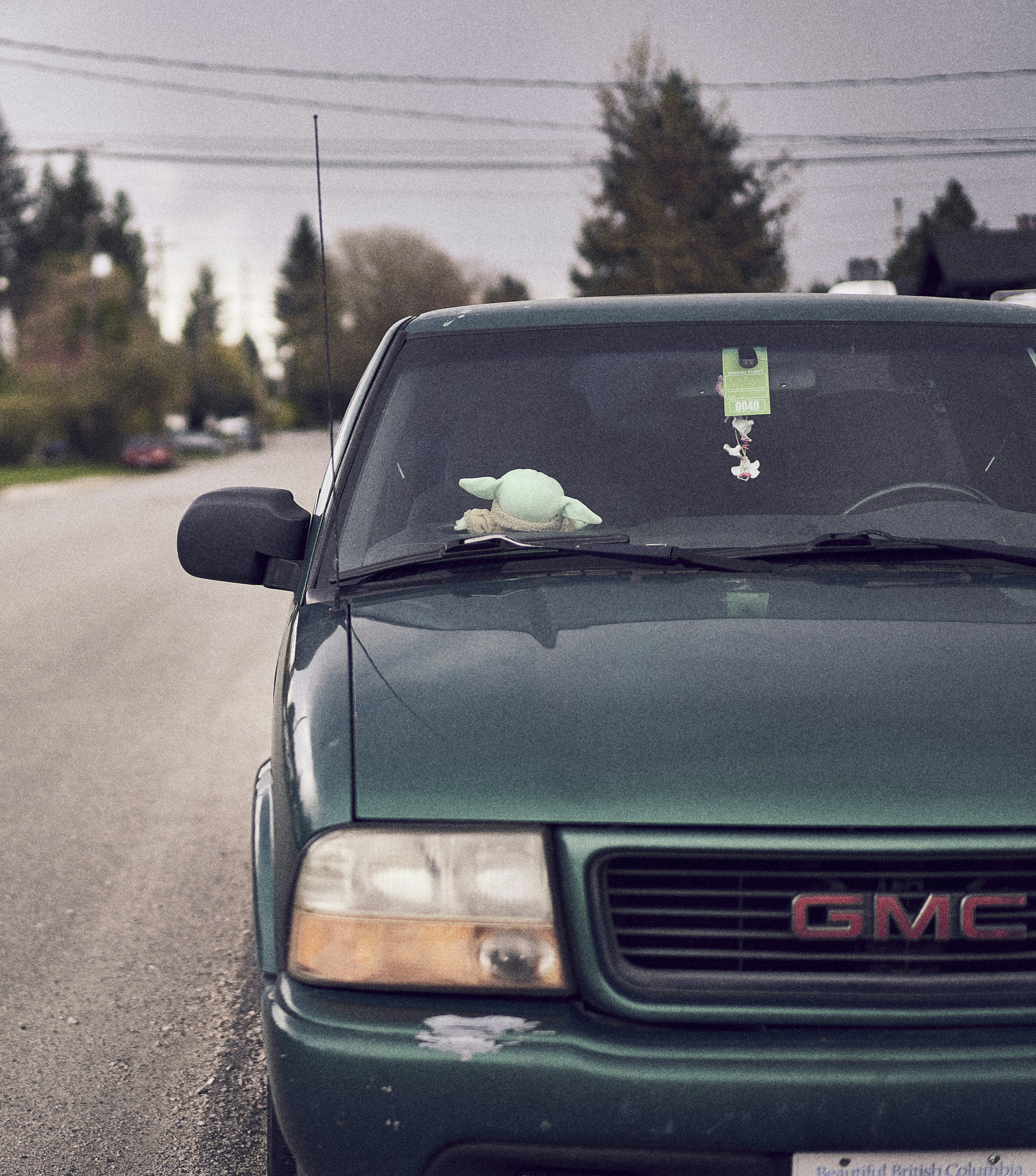 a dog sitting in the driver's seat of a car