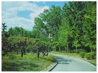 A winding path lined with blooming wildflowers leading to a tranquil pond.