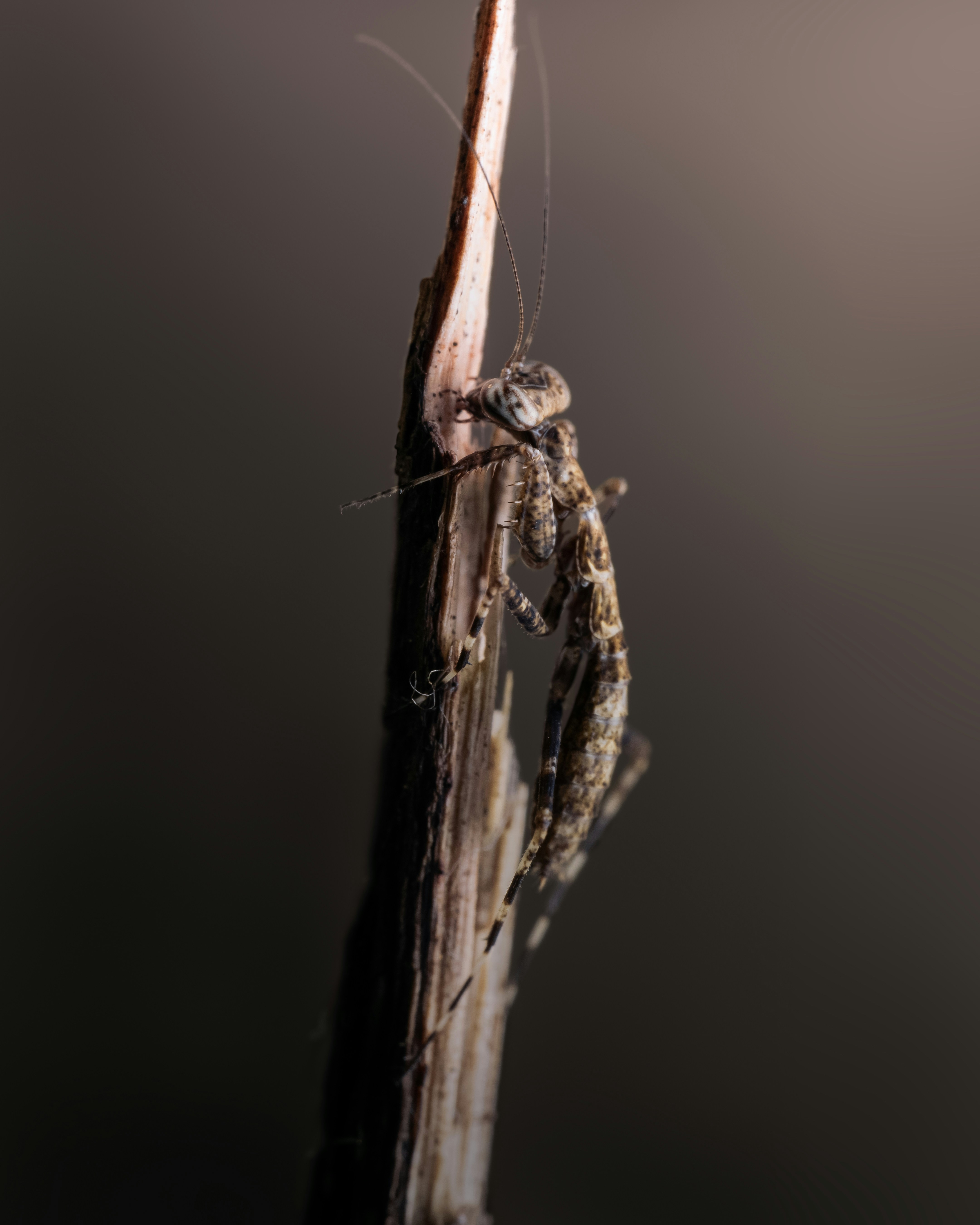 Photo by sahilmohamme841