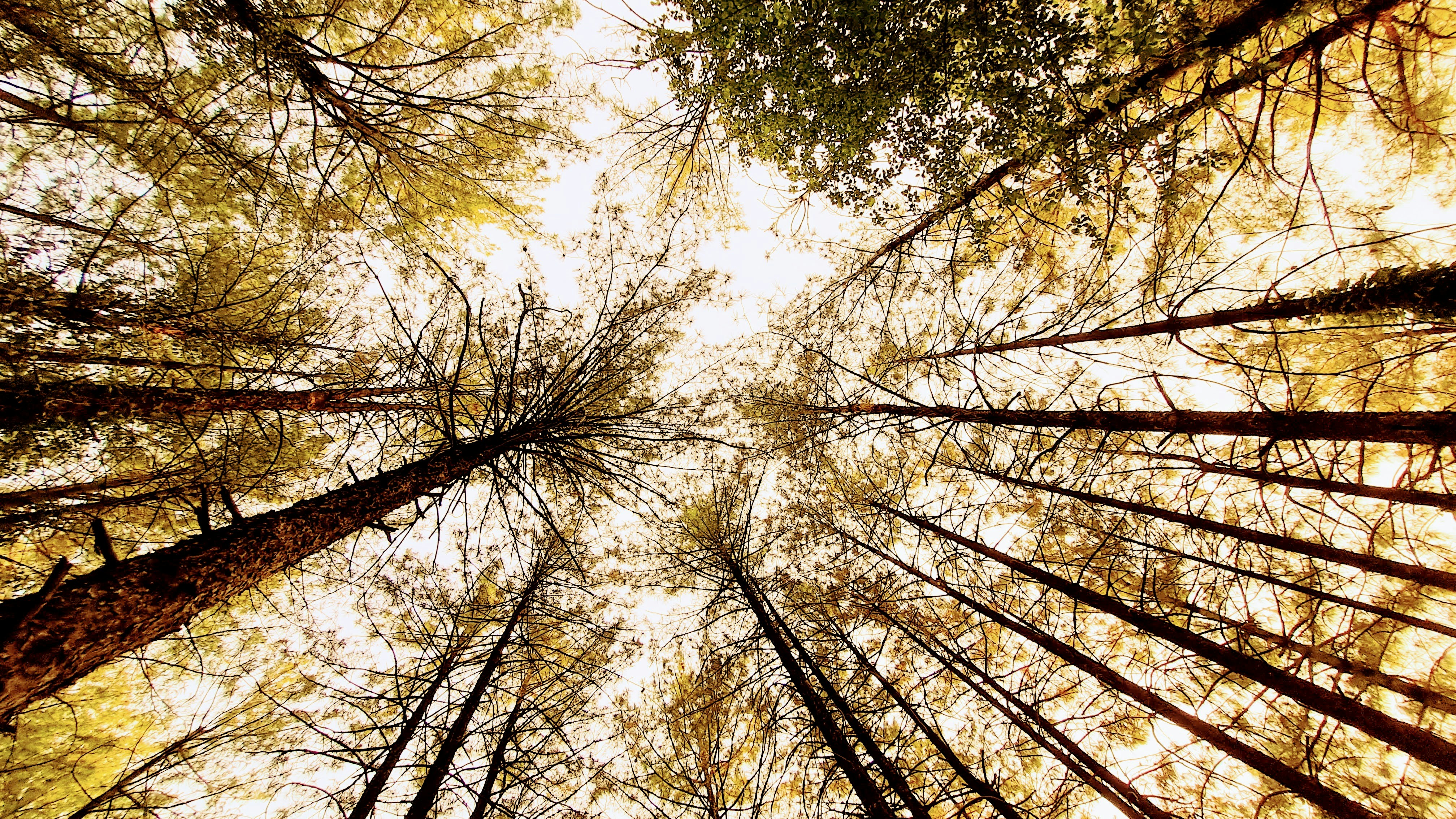 This was an unplanned picture. The sky just looked so beautiful.