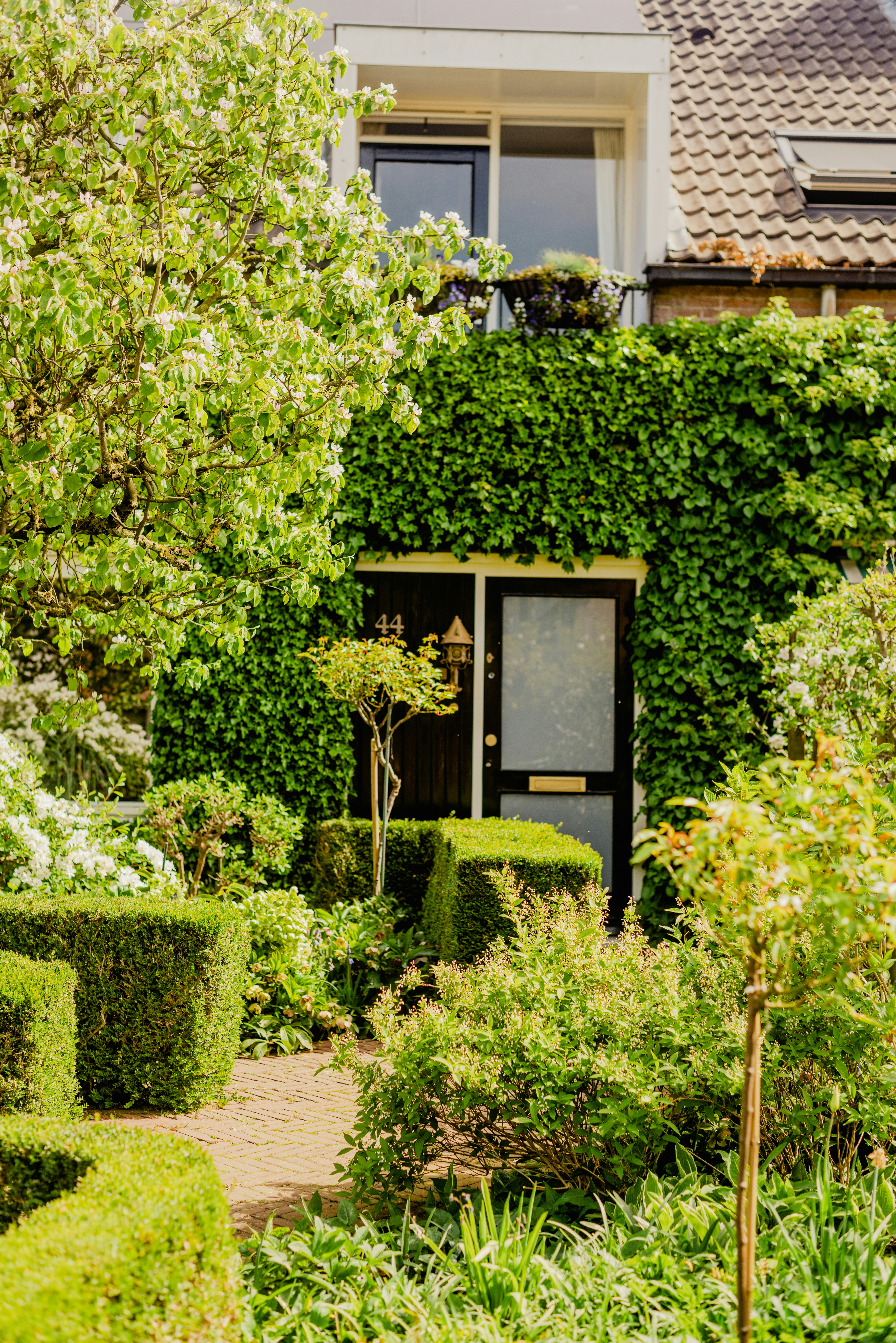 Photo by eugenivy_now