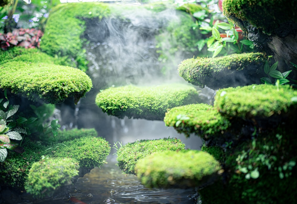 a waterfall with moss on it