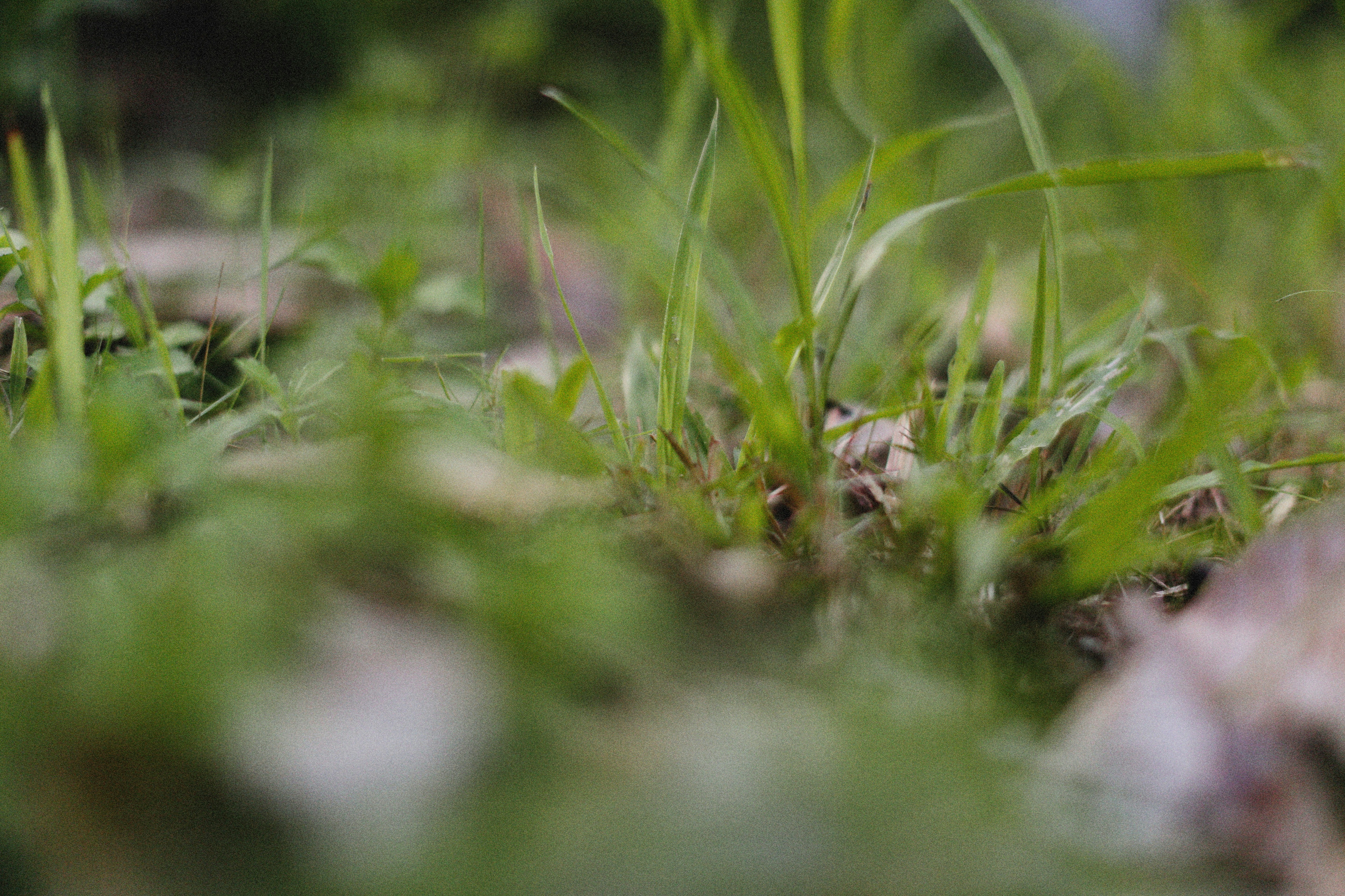 Photo by alexeydemidov