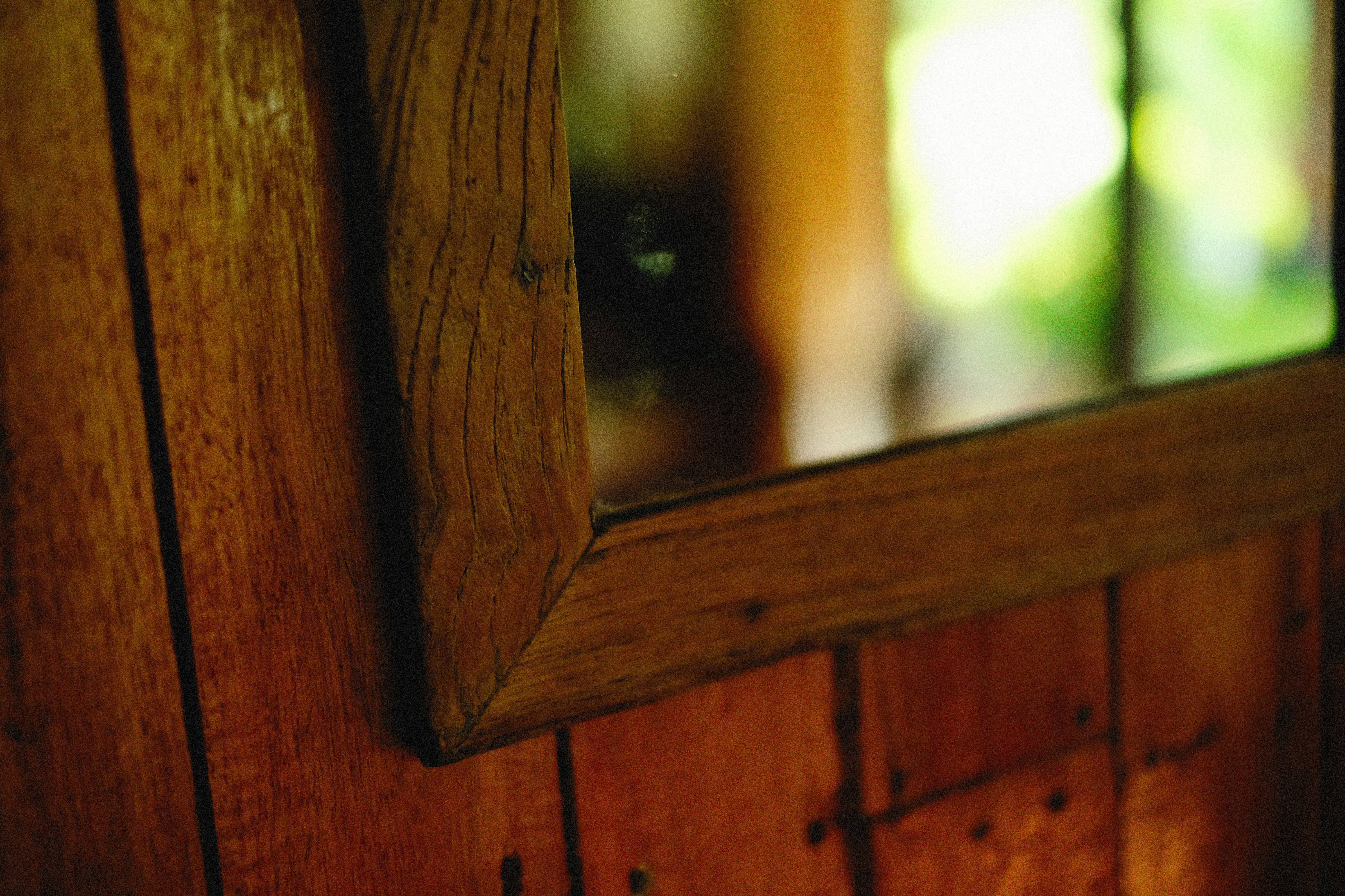 Photo by alexeydemidov