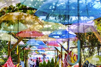 A vibrant display of colorful umbrellas open in a sunny garden setting, showcasing various sizes and designs.
