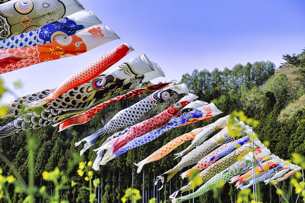 a group of colorful kites