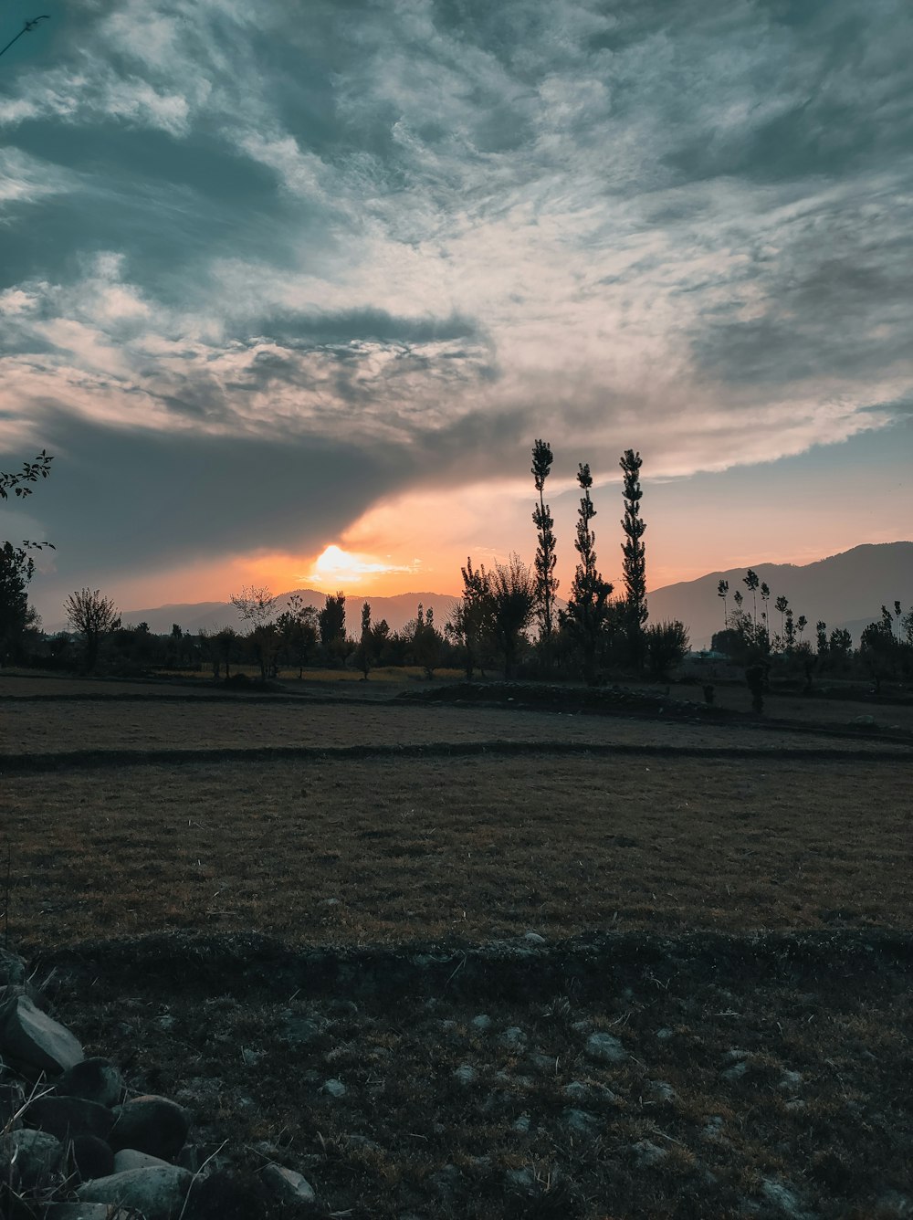 a field with trees and a sunset