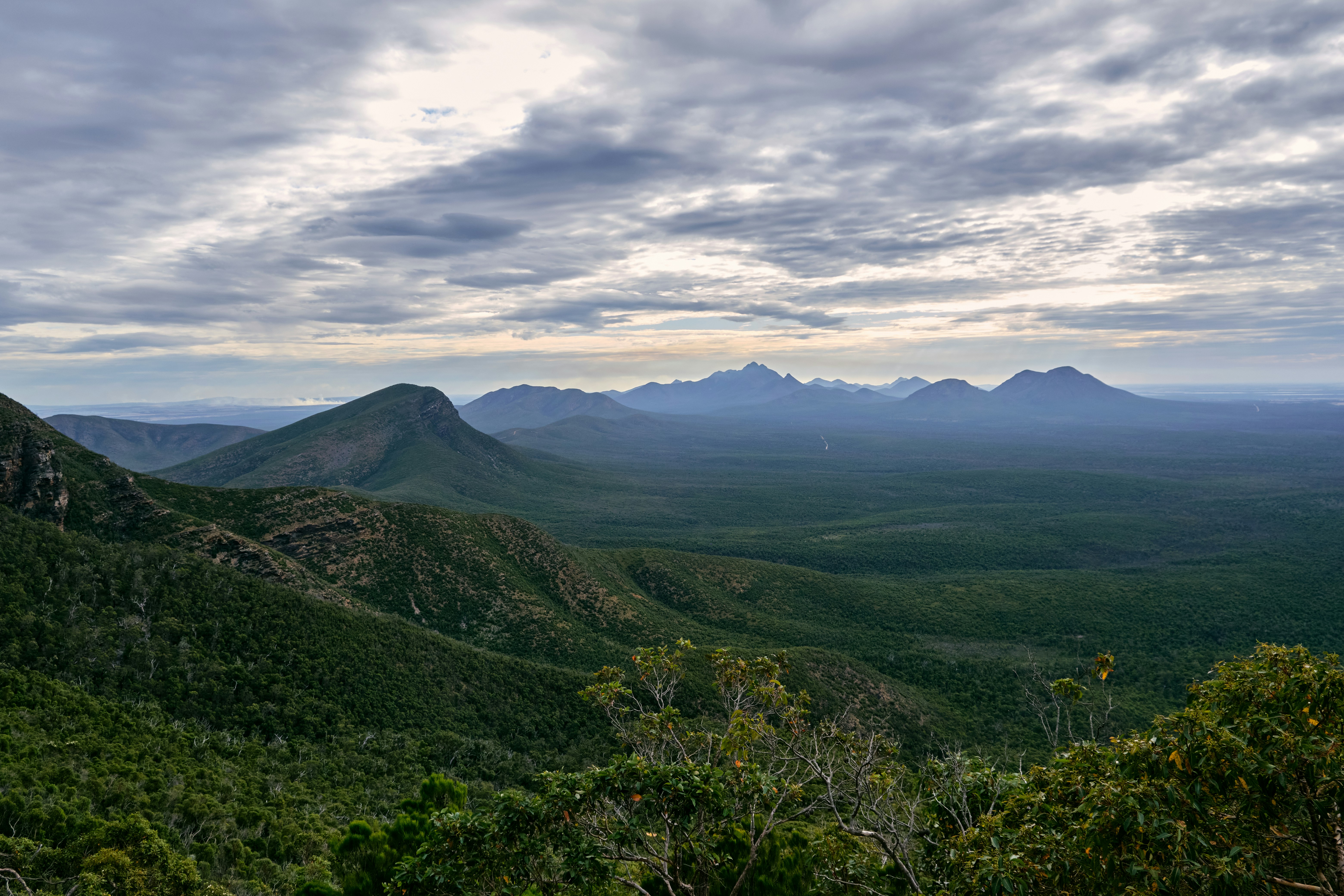 Photo by will_roocke