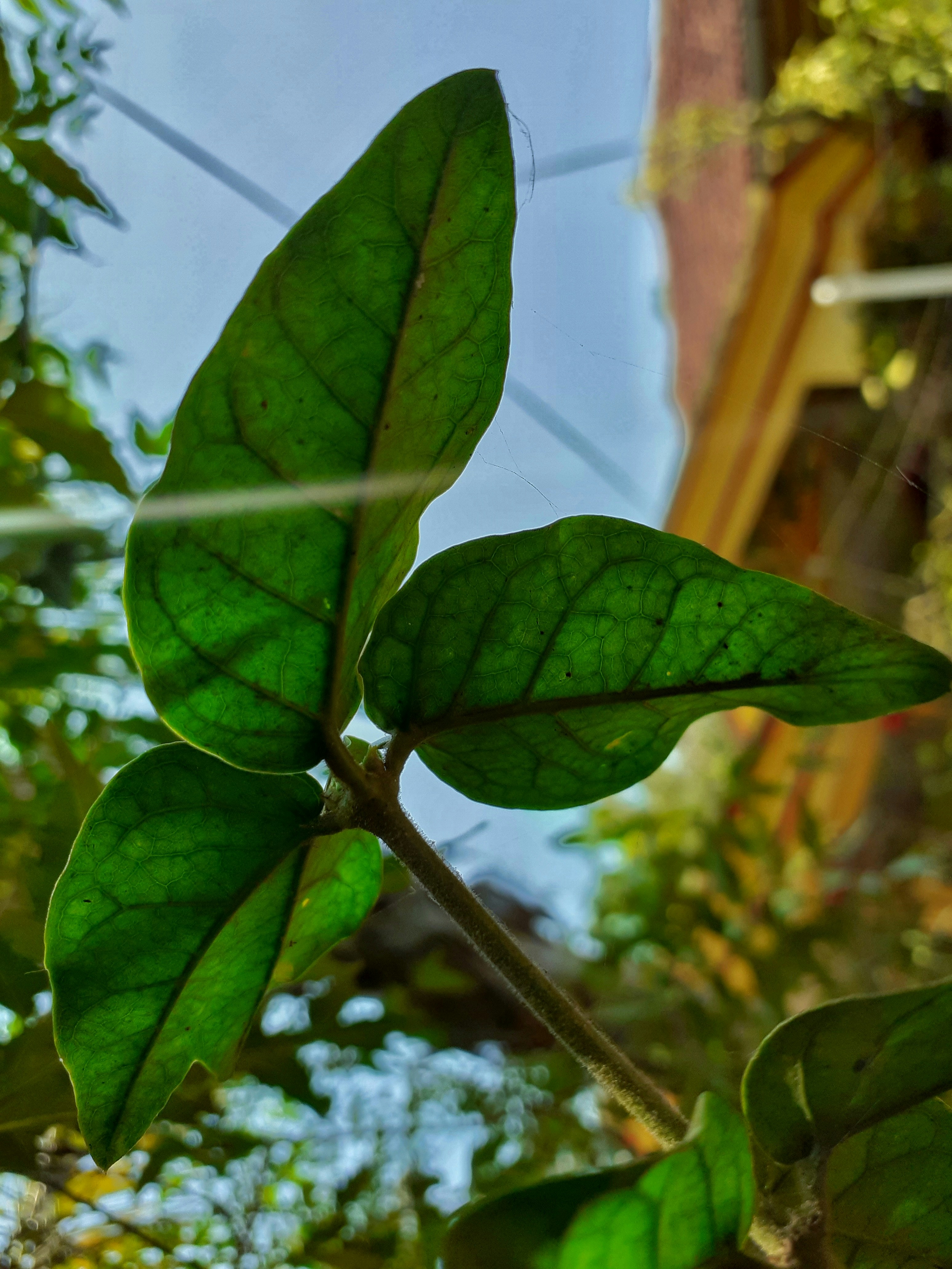 Photo by nickcardoso