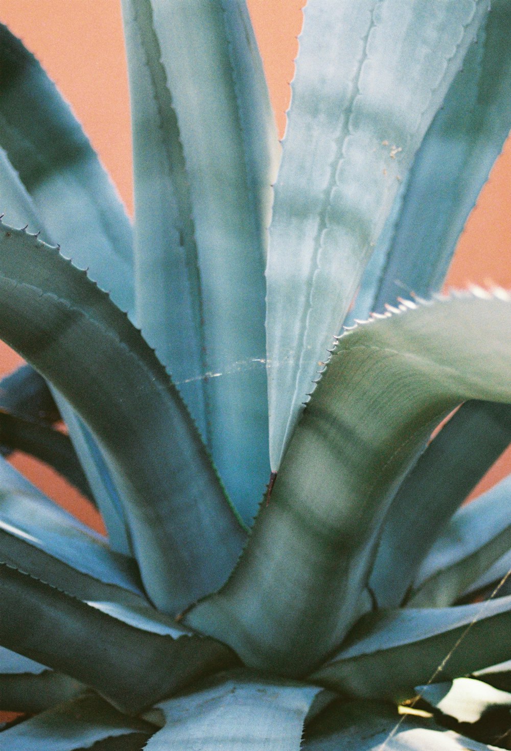 um close-up de algum tecido azul e vermelho