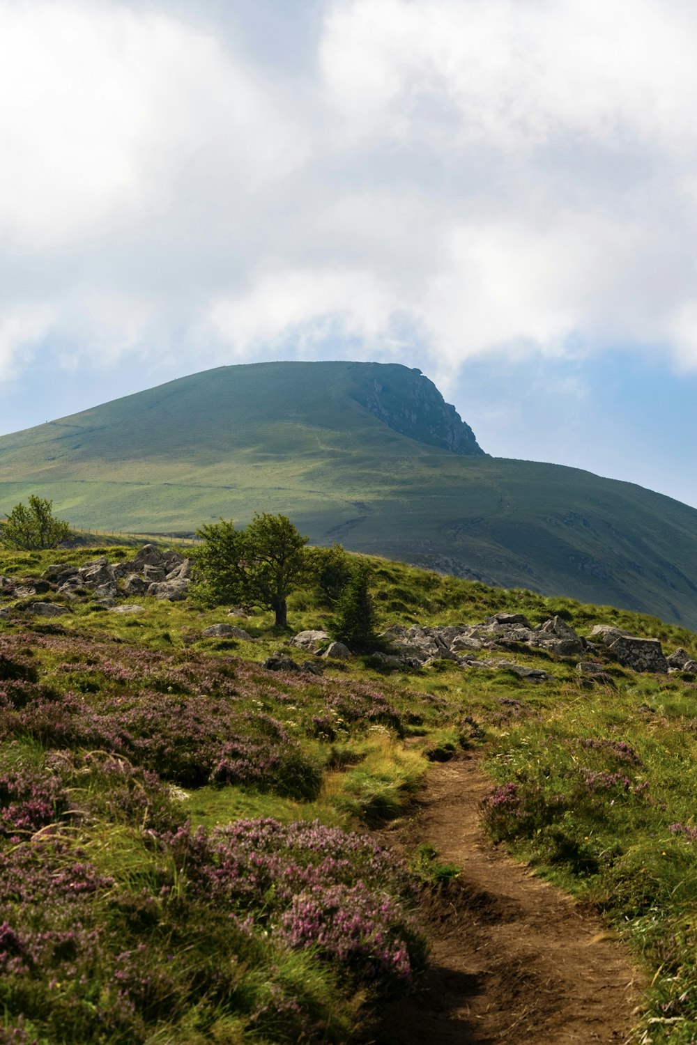 un chemin de terre menant à une montagne