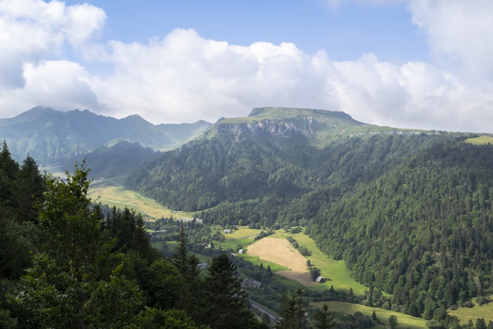 a landscape with trees and mountains