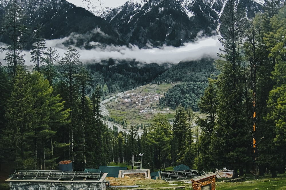 a mountain with trees and a waterfall