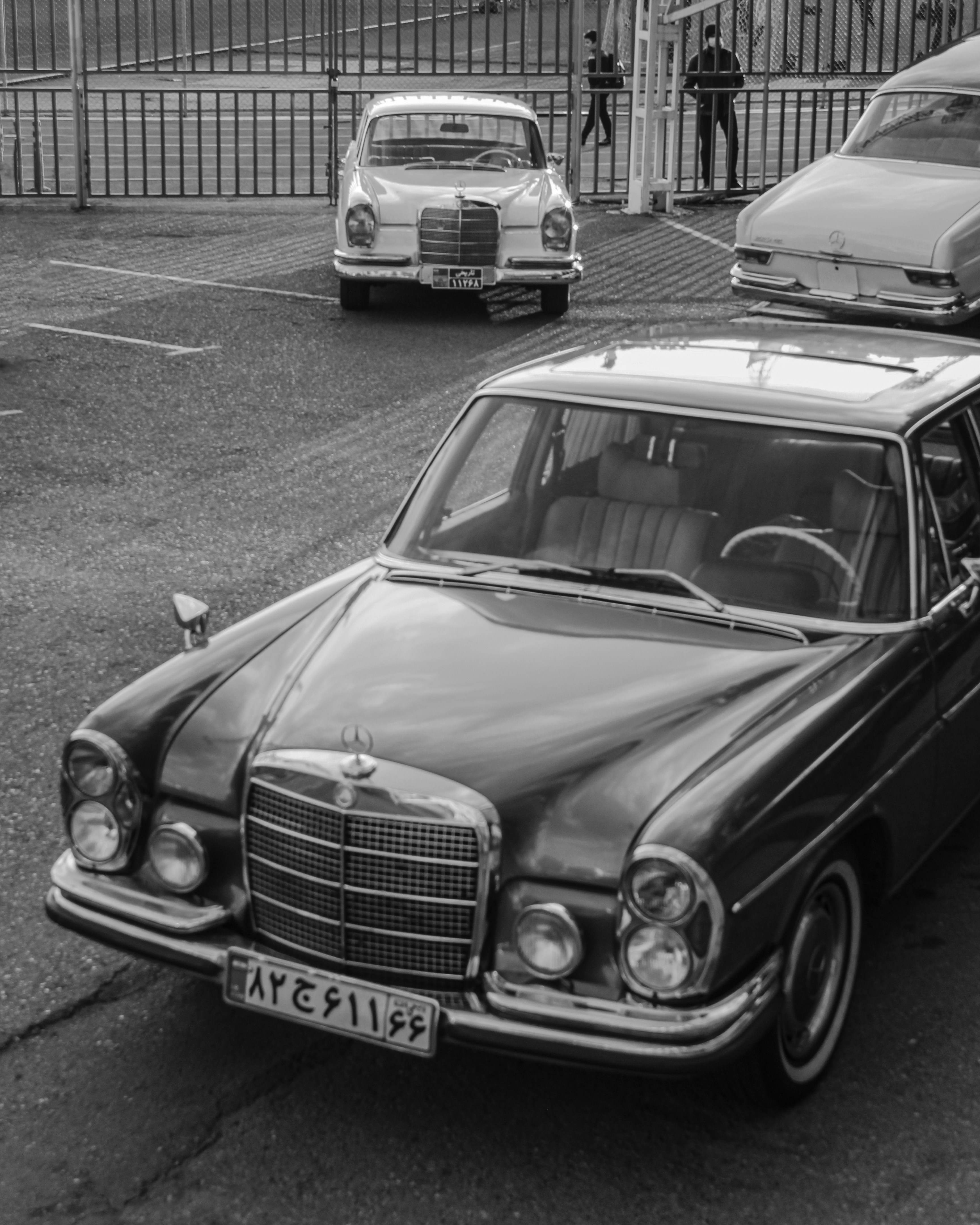 Photo by mostafa_rad