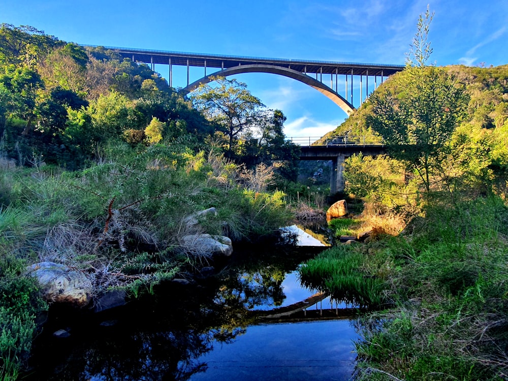 a bridge over a river