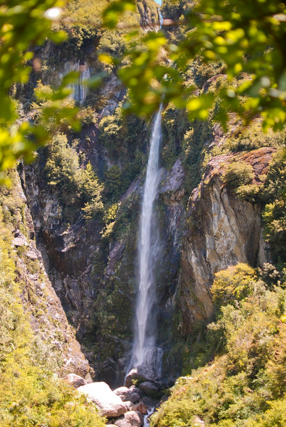 a waterfall in a forest