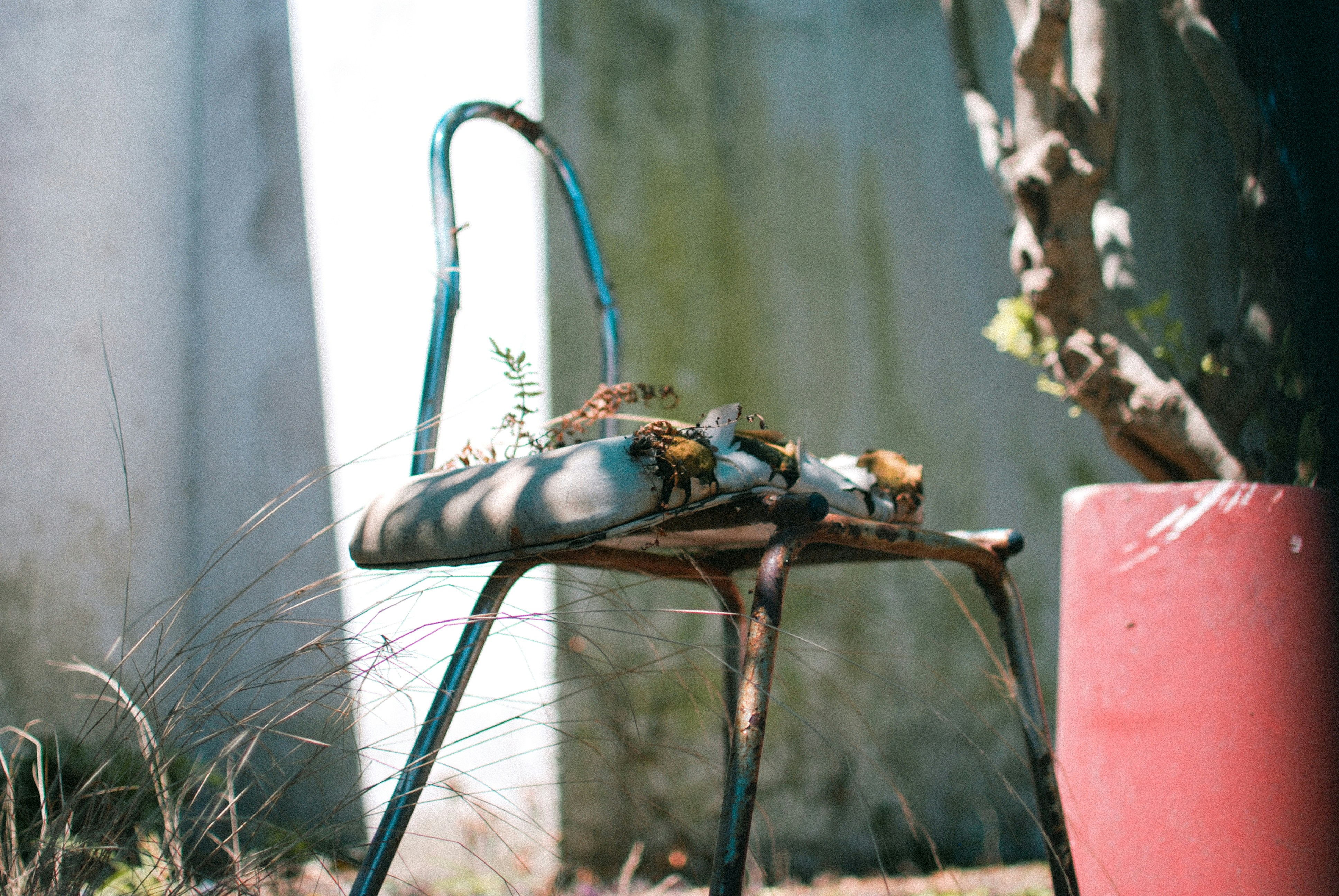 Photo by sunflower983