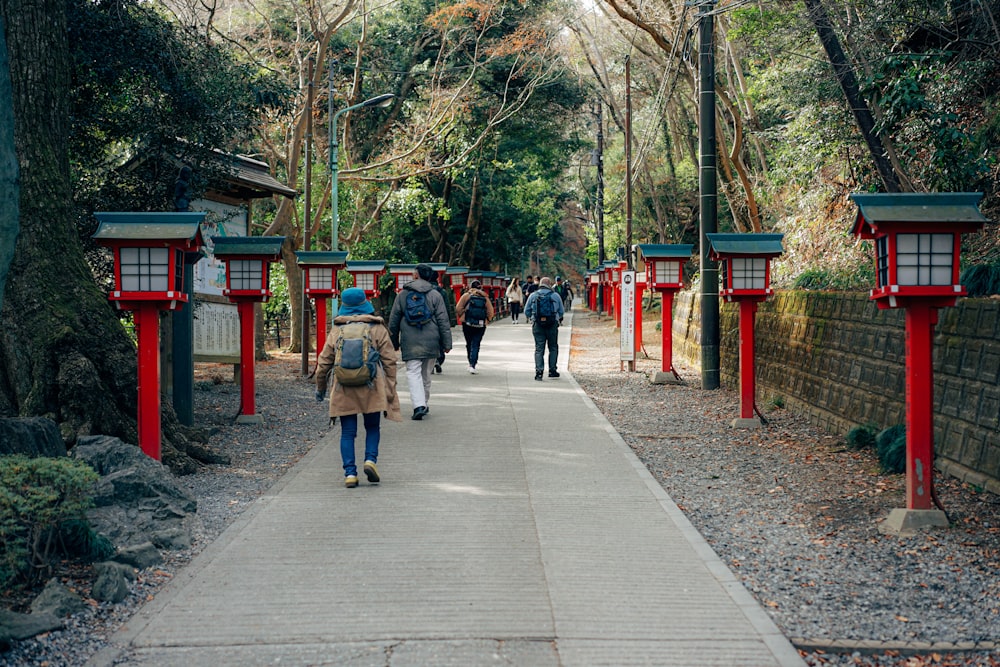 people walking on a path