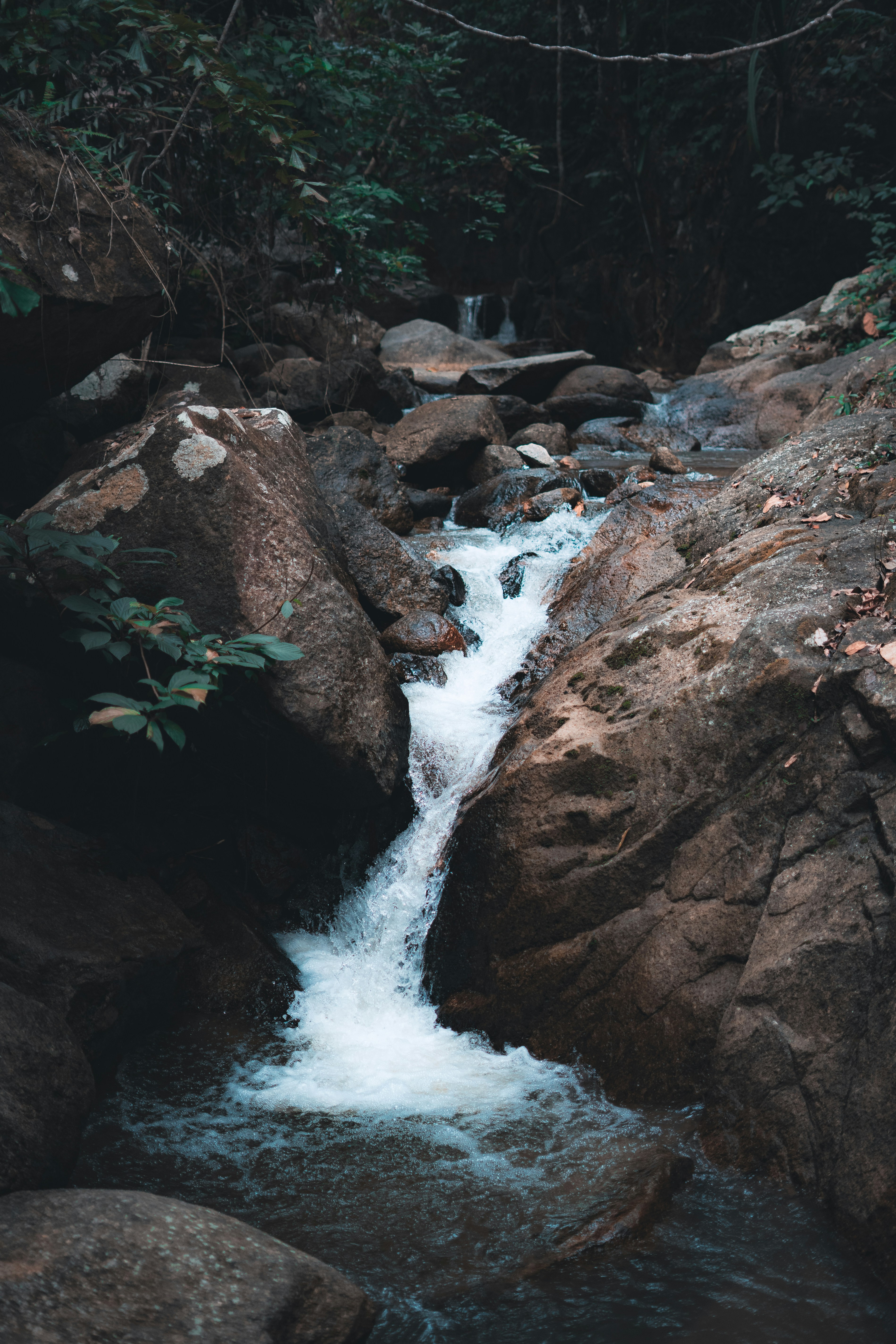 Photo by aaronnvisuals