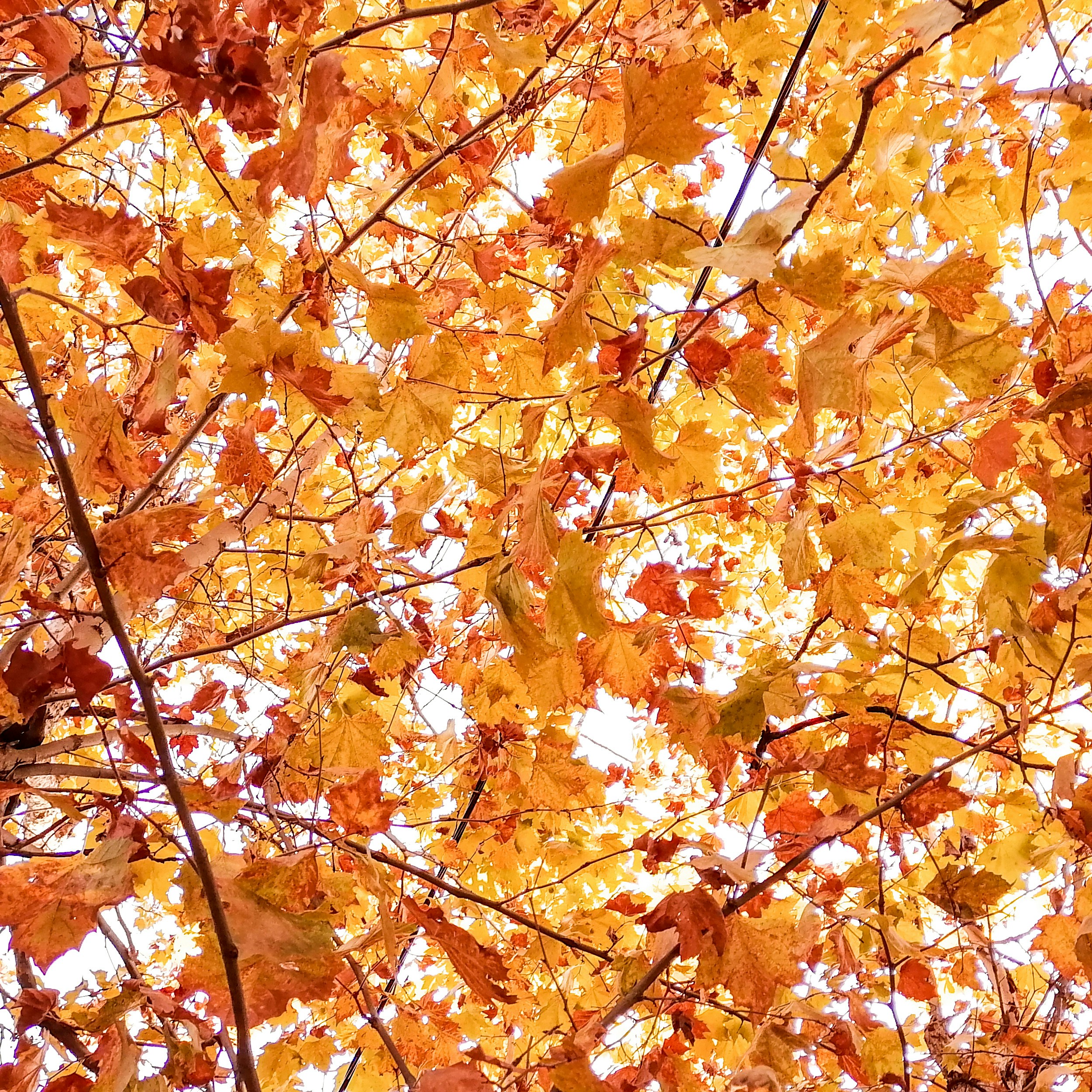 Photo by sunflower983