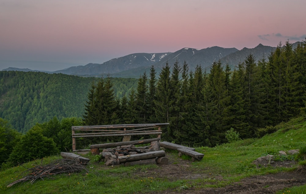 a wooden bench in a grassy field with trees and mountains in the background