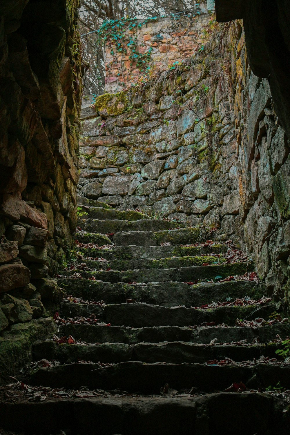 a stone wall with plants growing on it