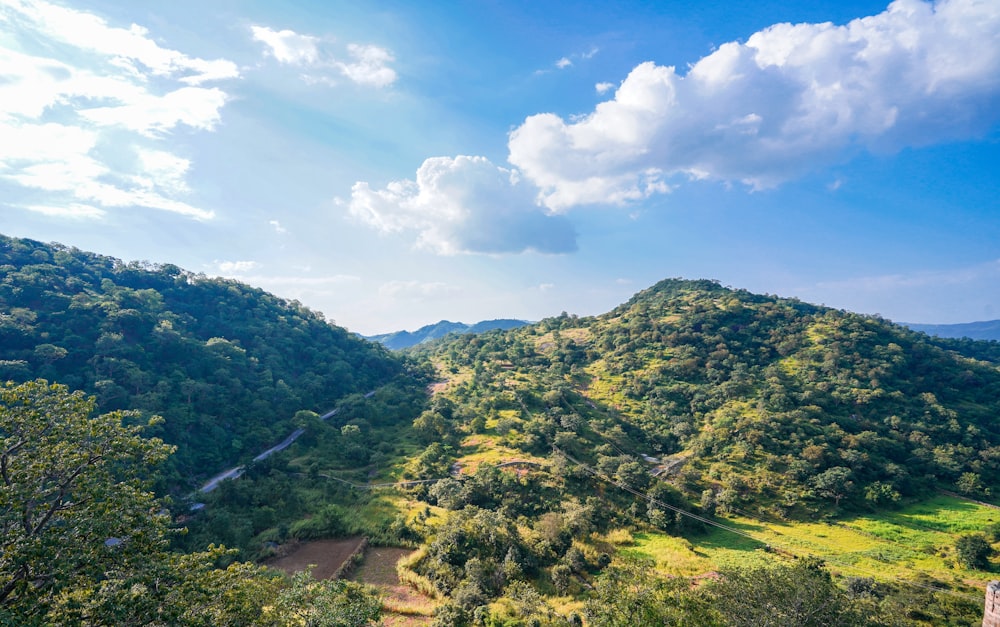 a landscape with trees and hills