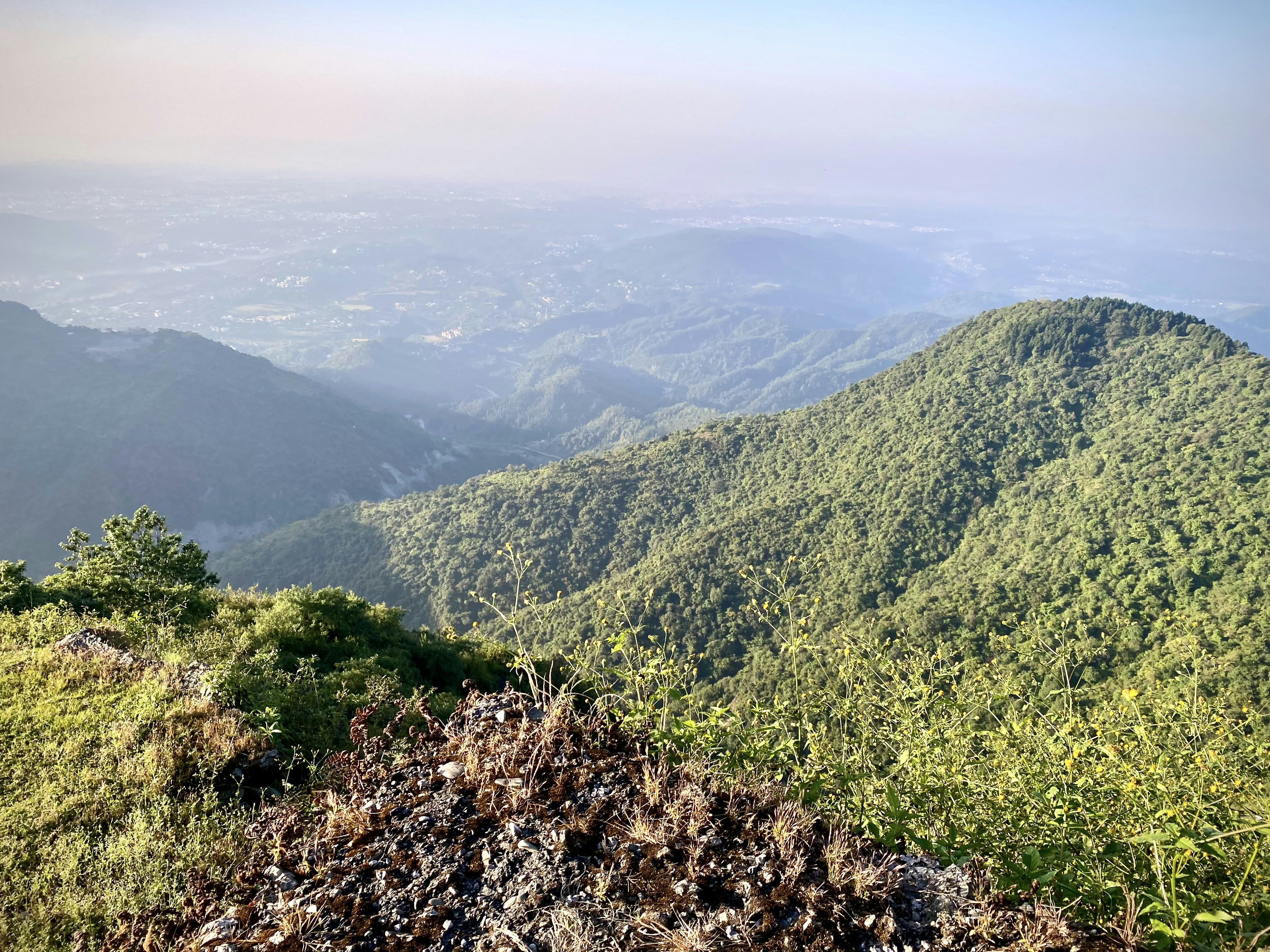 a landscape with hills and trees