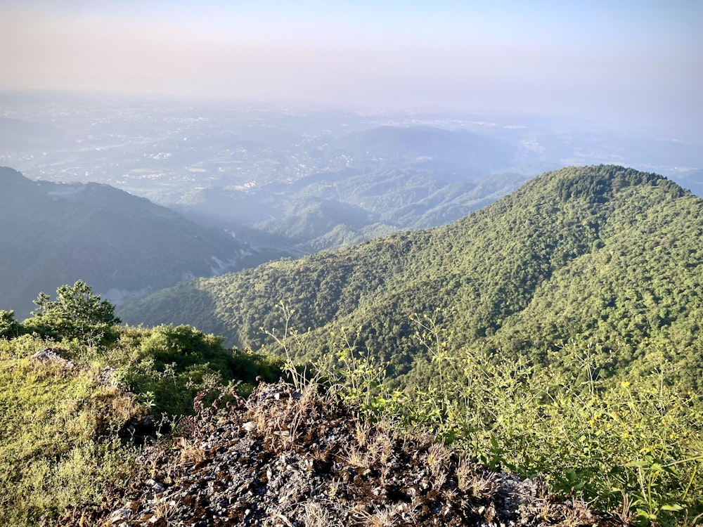 a landscape with hills and trees