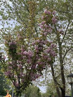 A whimsical illustration of children playing under a giant blooming tree, full of vibrant colors.