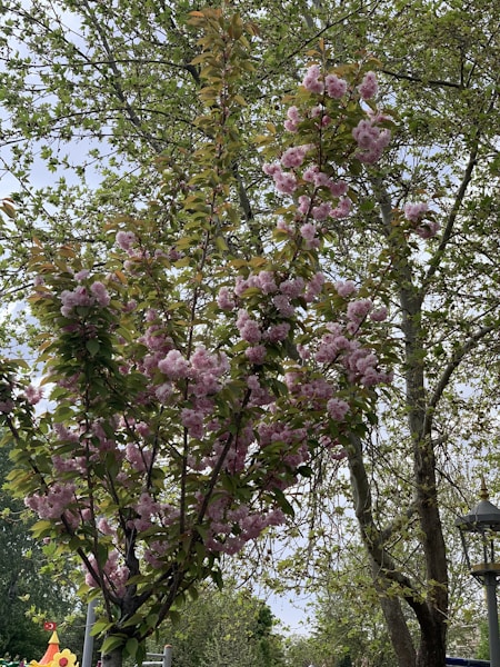 Photo 1651480617881 6f362ea7bf76?q=85&w=1200&h=600&fit=crop