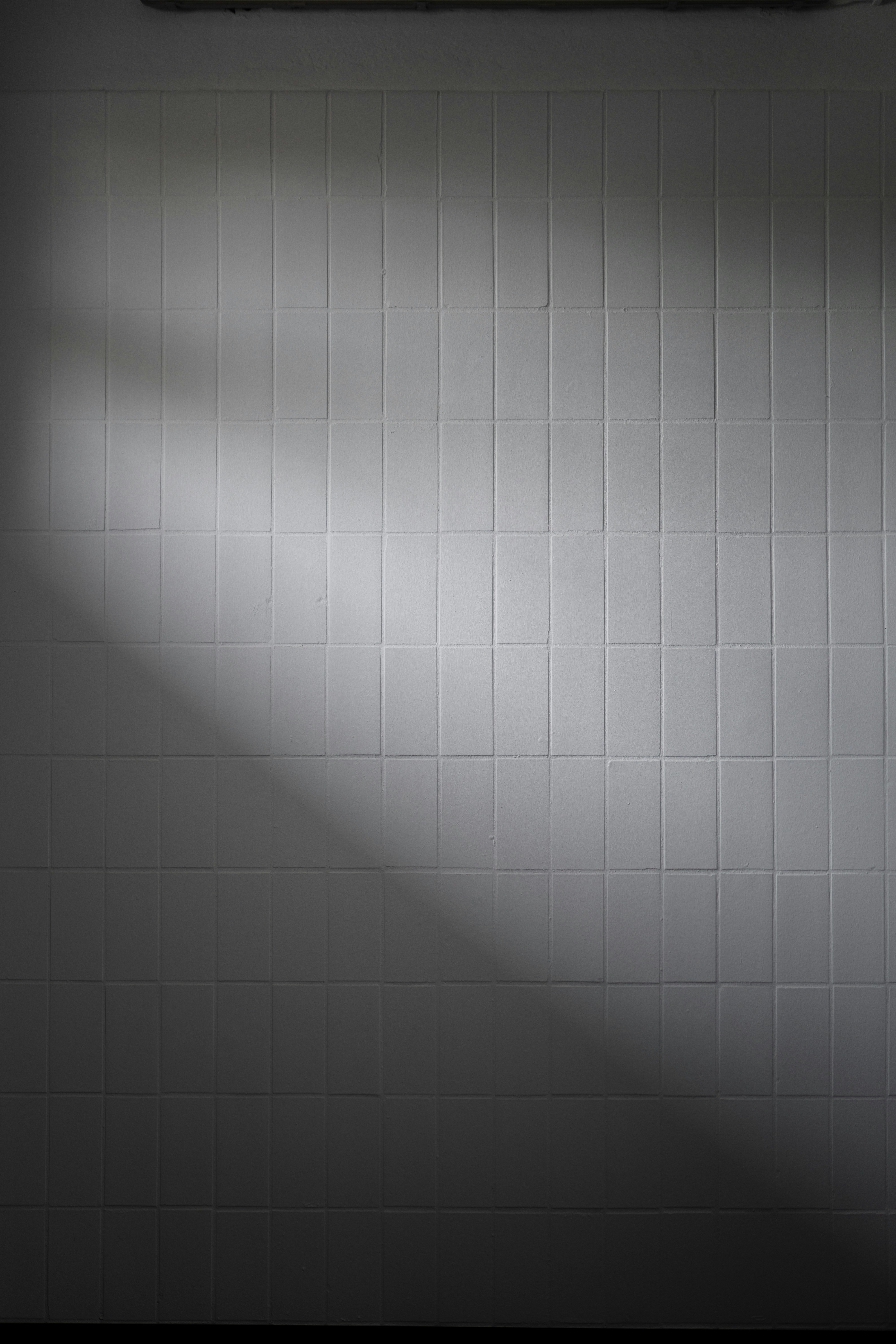 Photo by jakobustrop