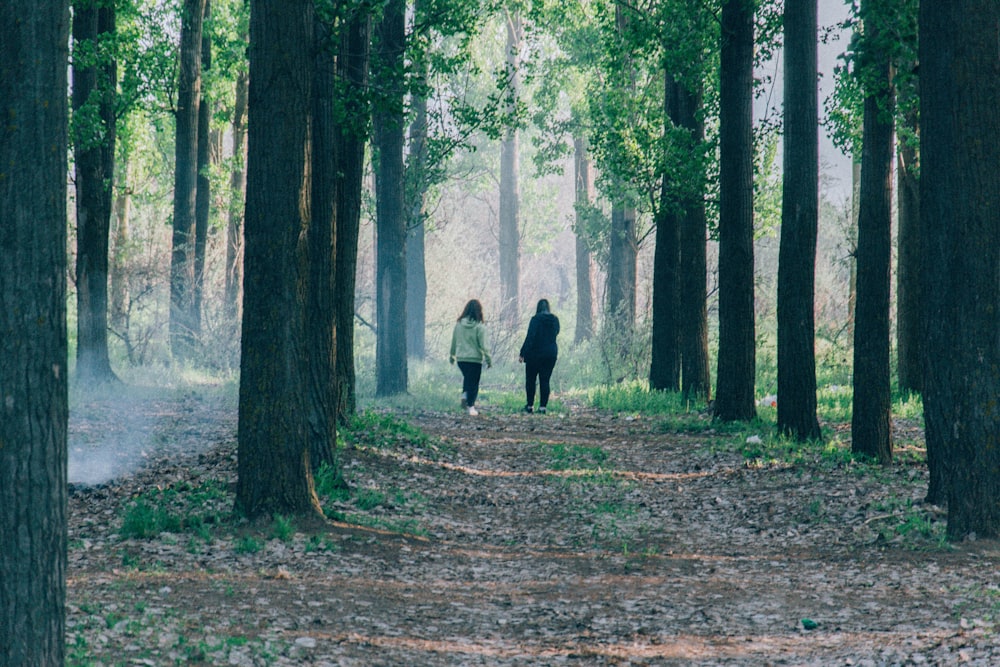 a man and woman walking in a forest