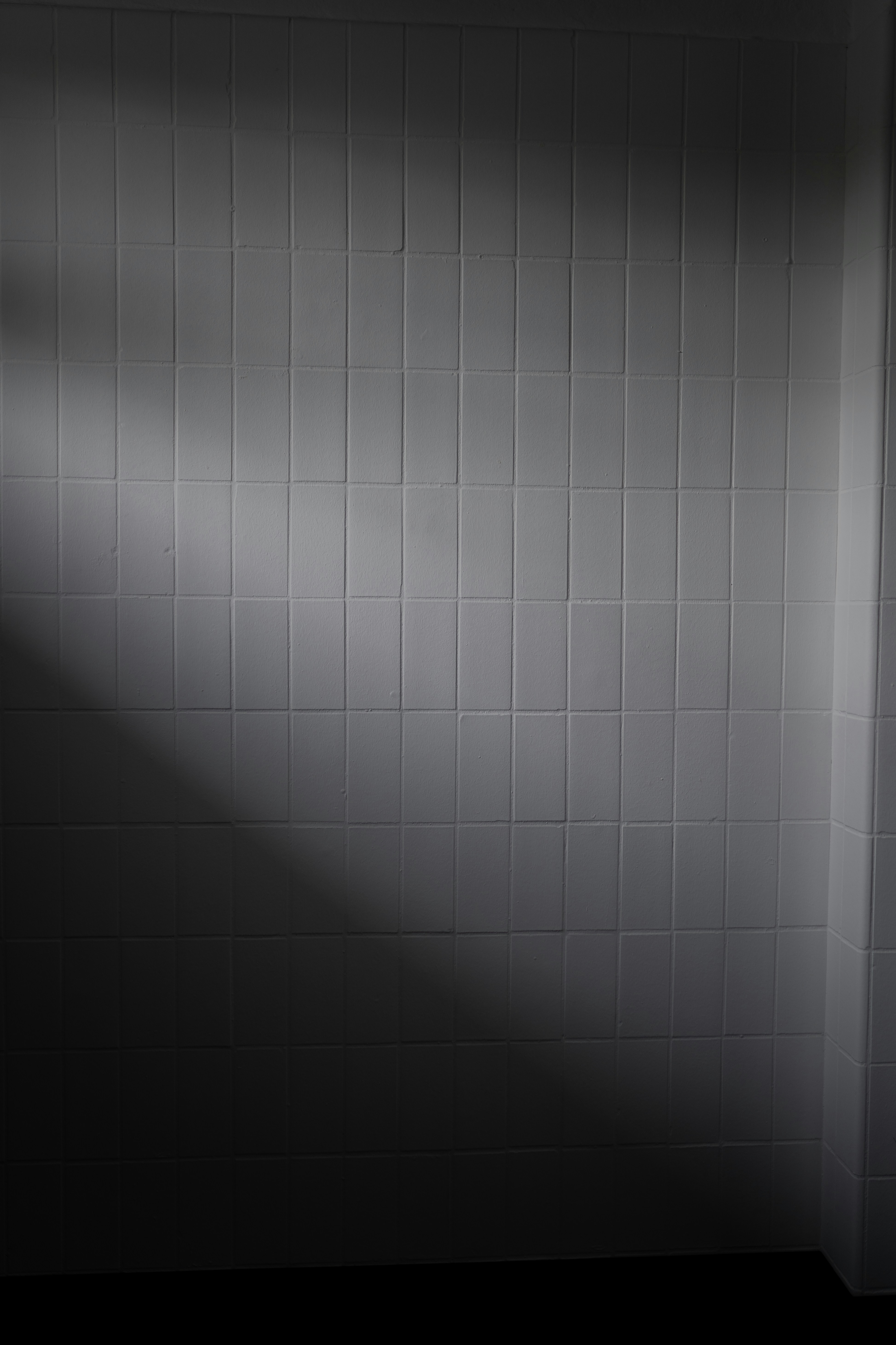 Photo by jakobustrop