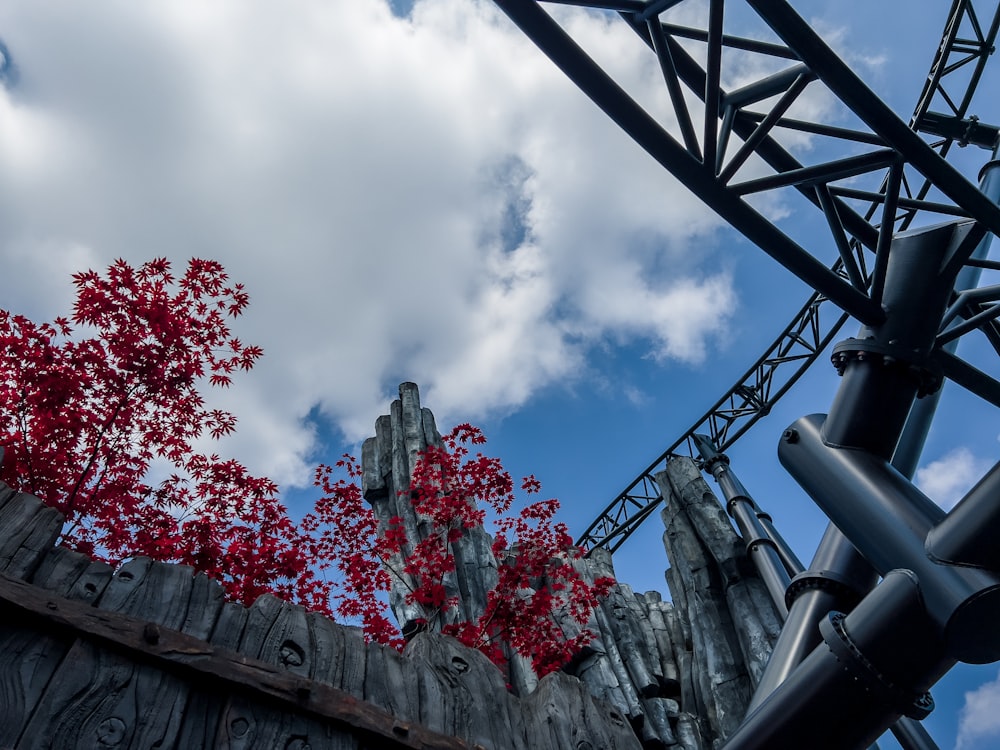 a roller coaster with trees on the side