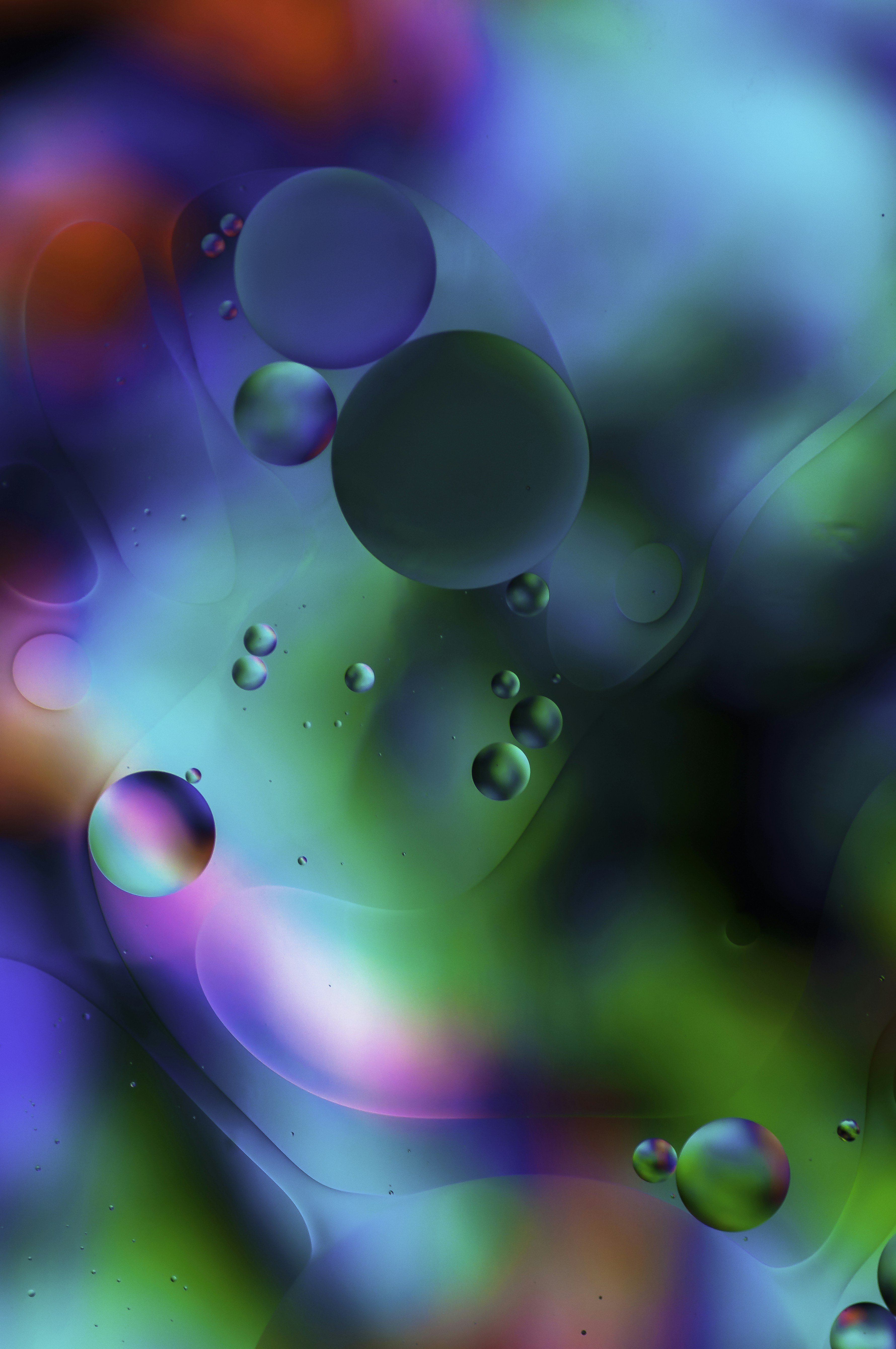 Photo by thom_oxford