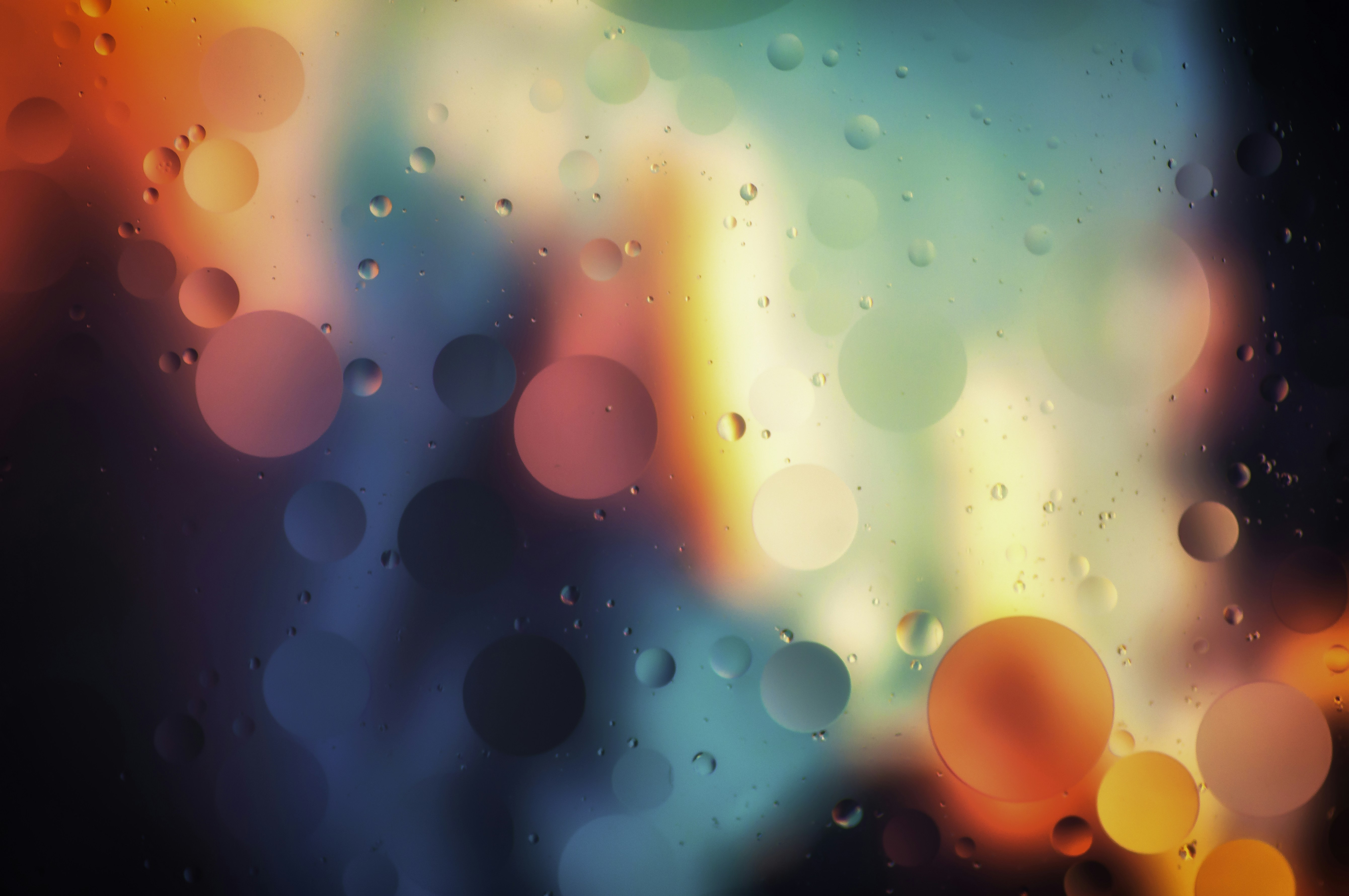 Photo by thom_oxford