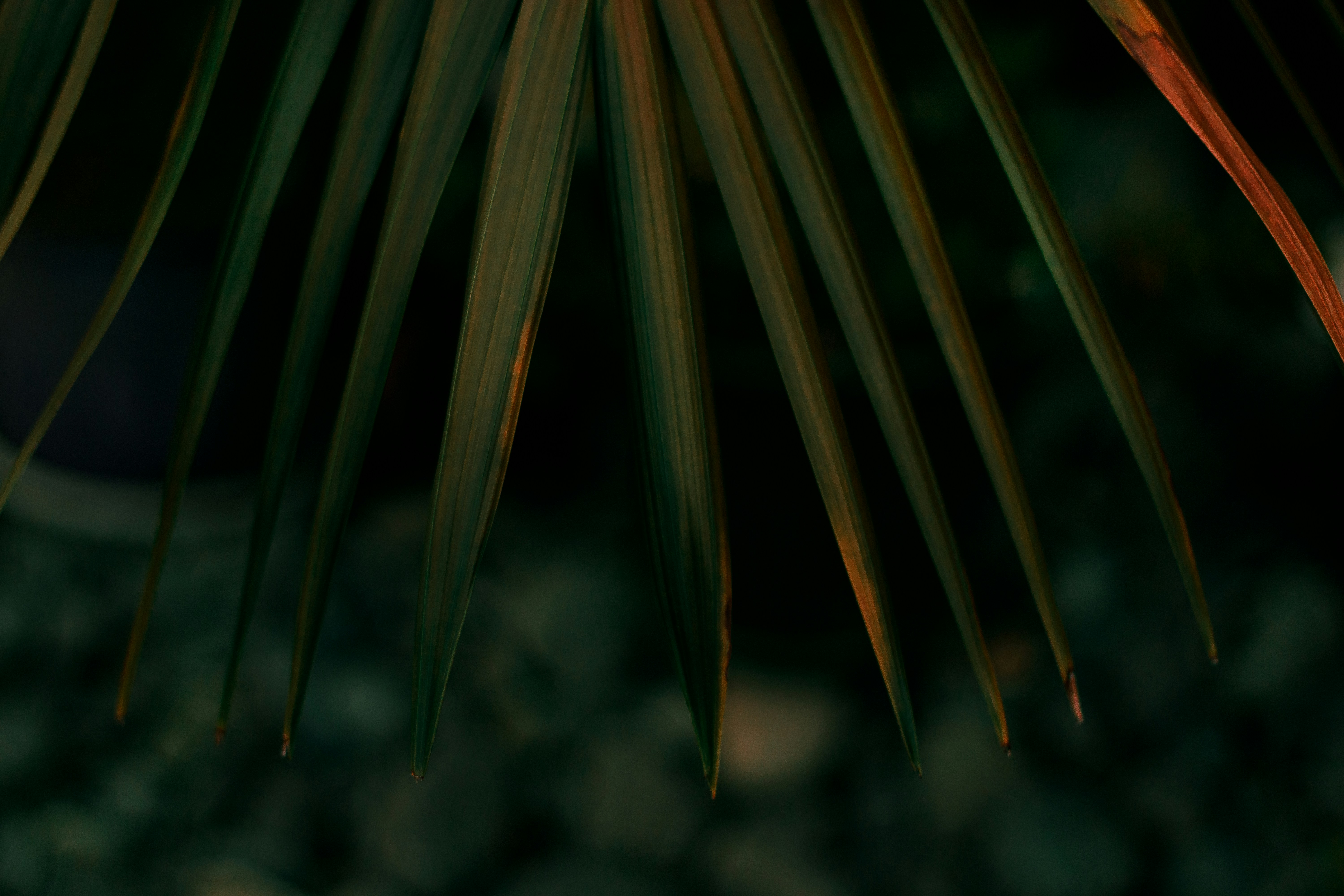 Photo by sirmisbehave