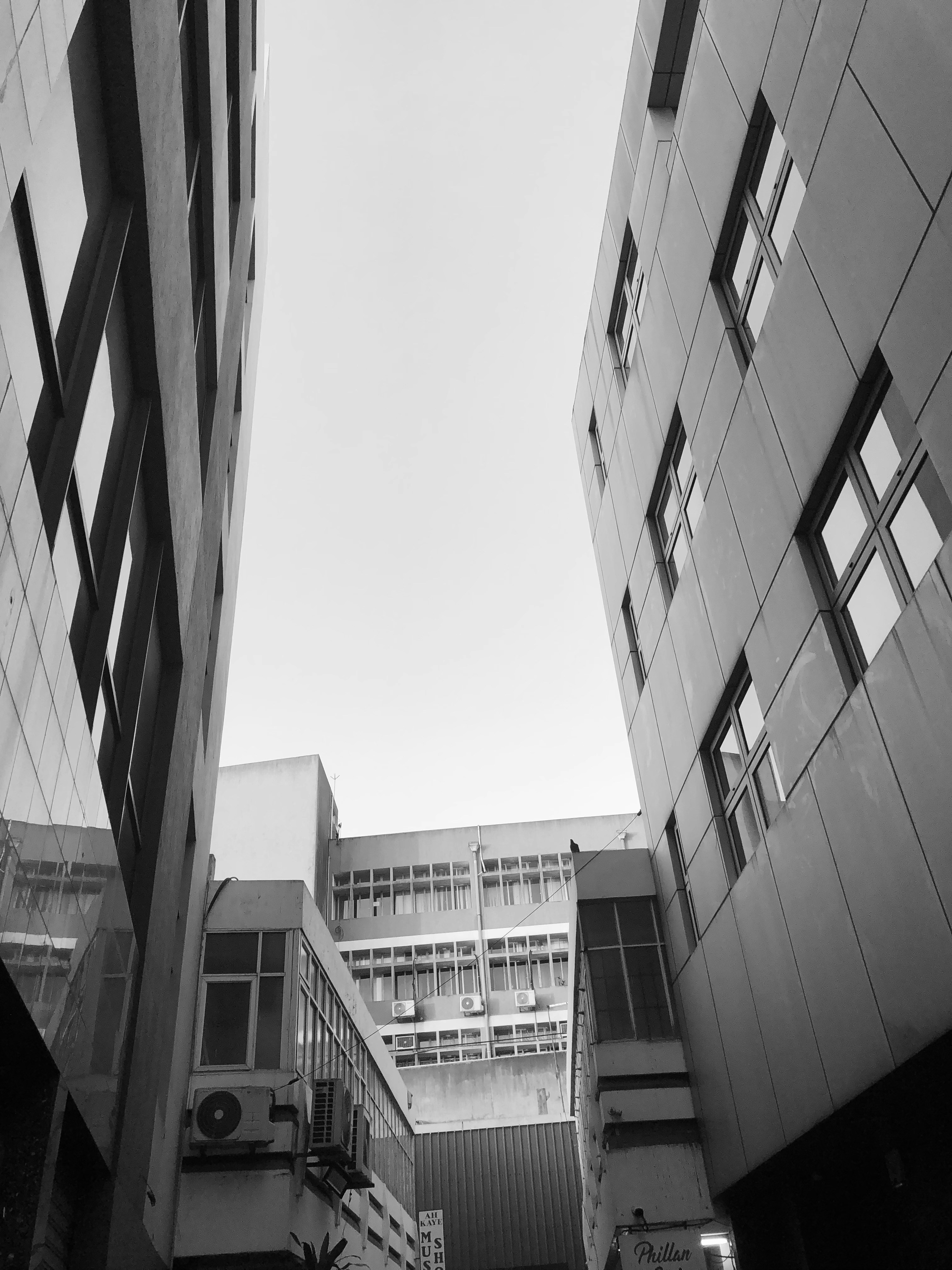 Photo by coraliemeriza