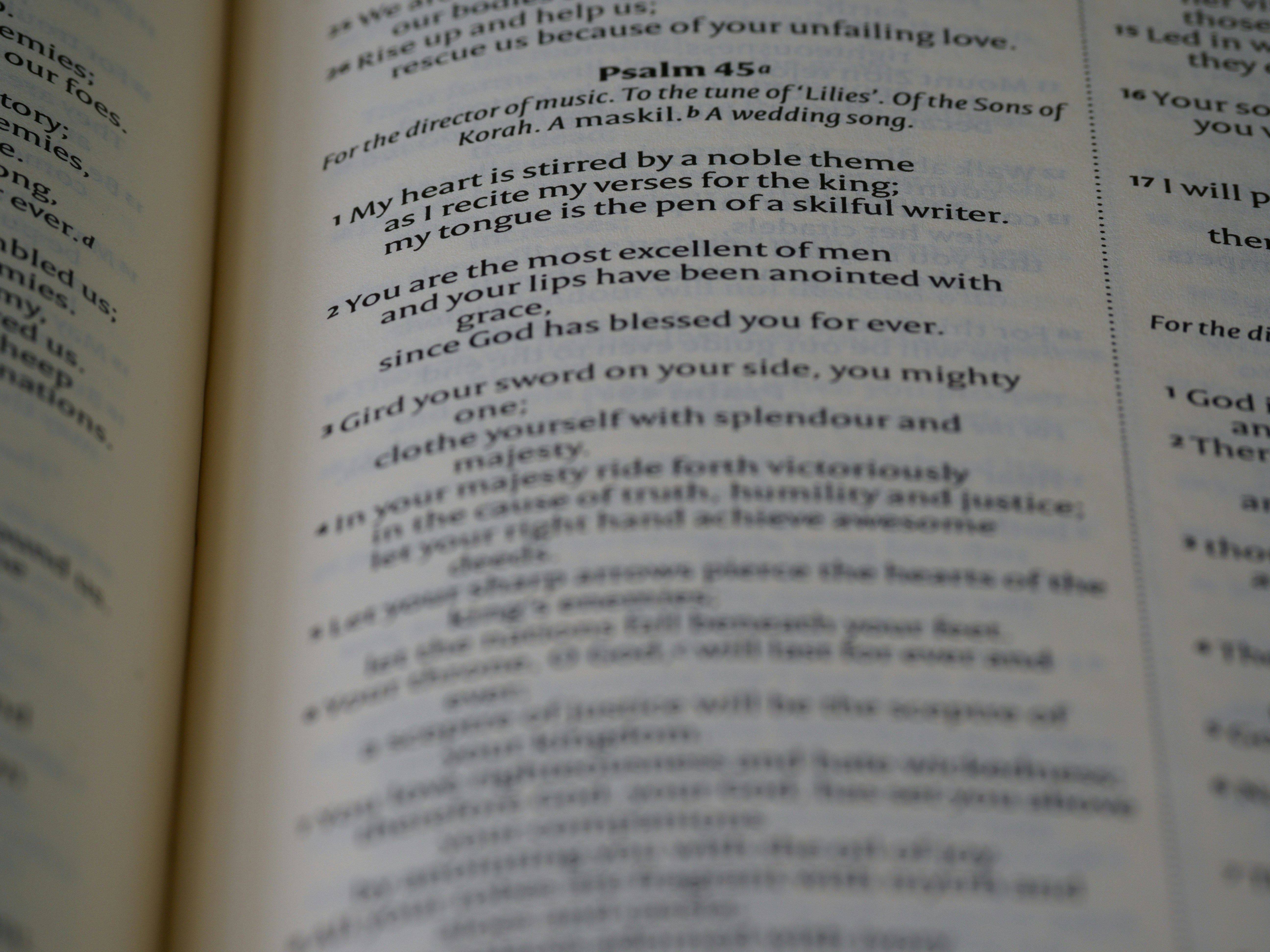 Photo by brett_jordan