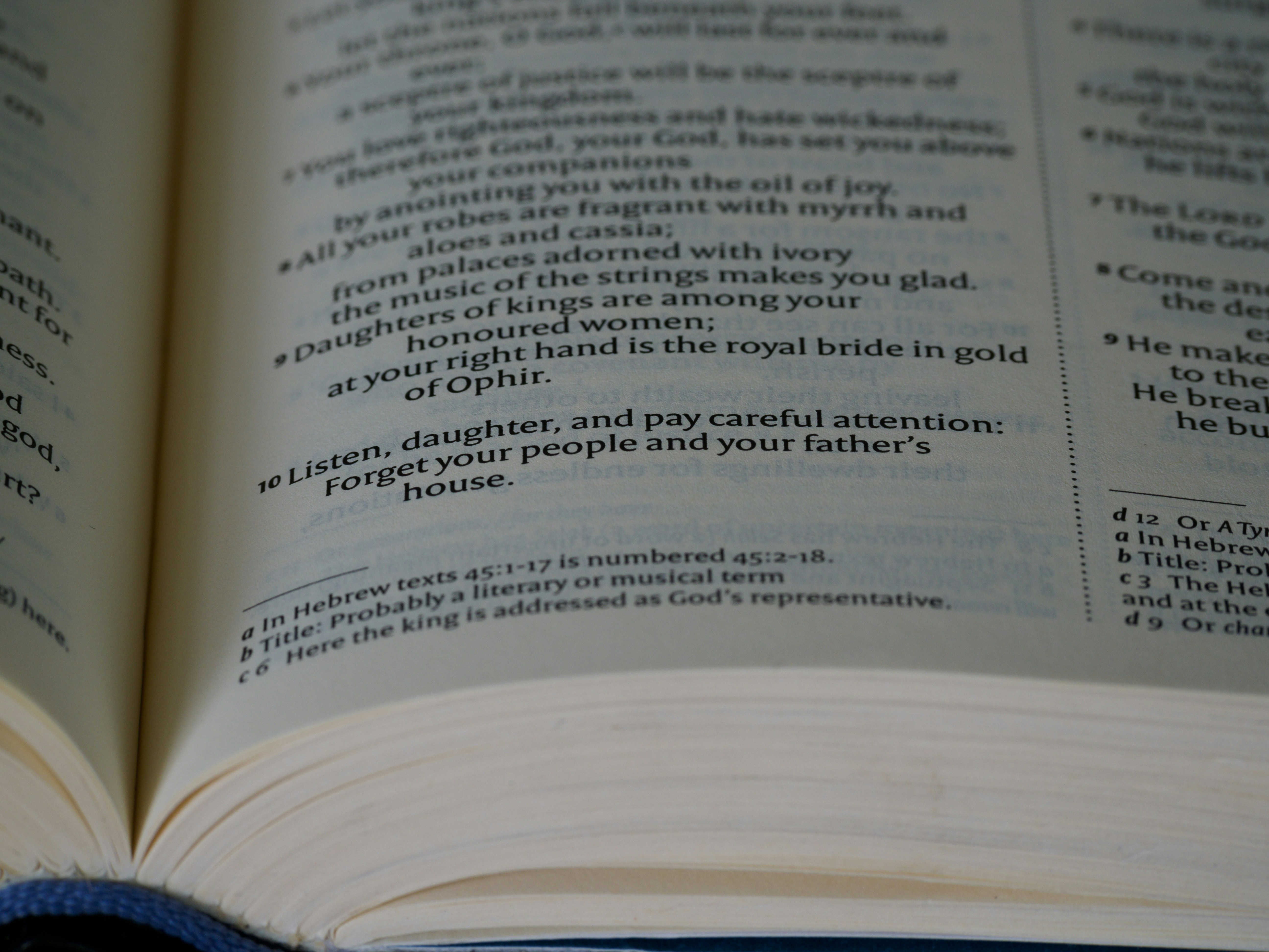 Photo by brett_jordan