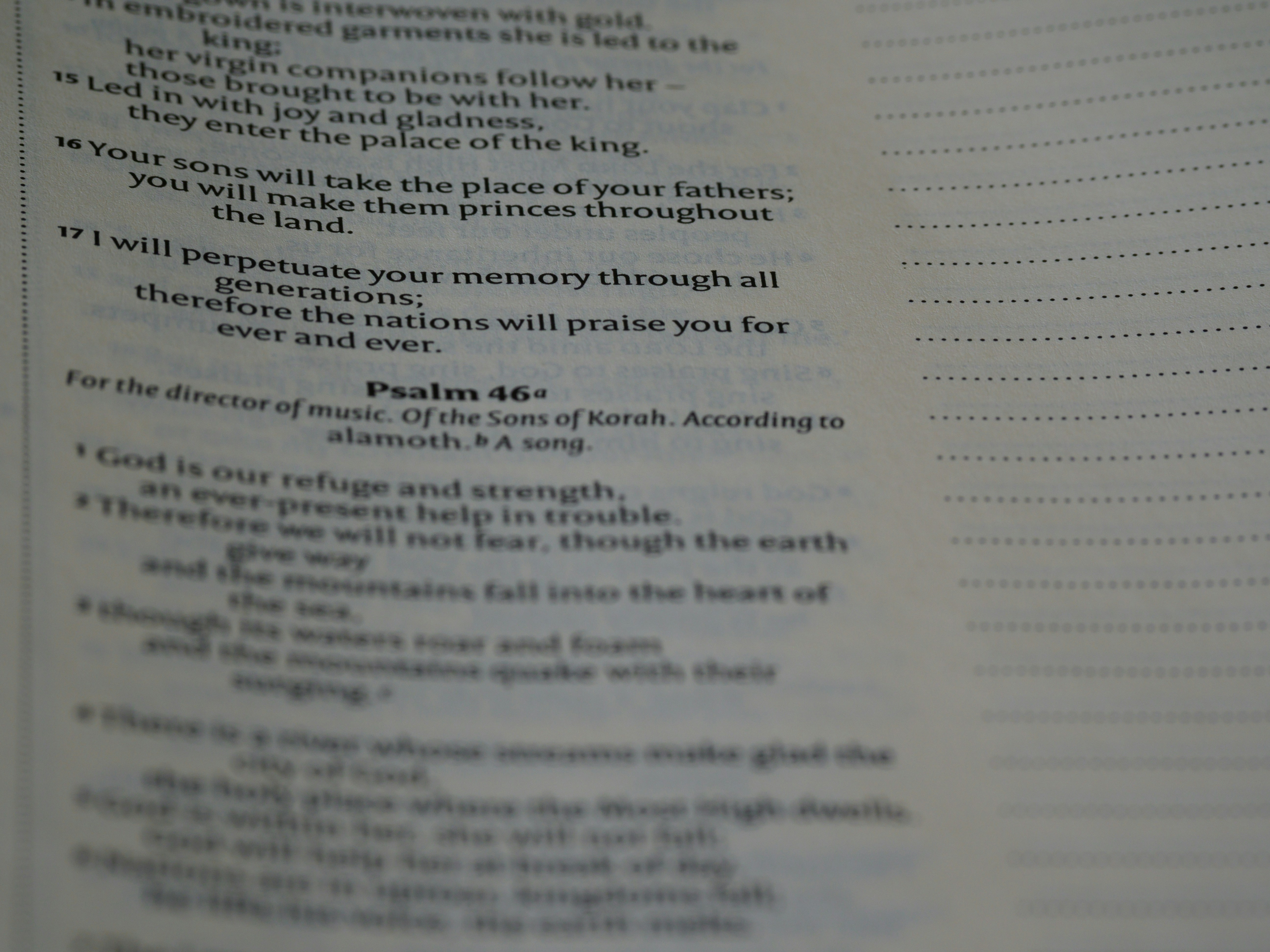 Photo by brett_jordan