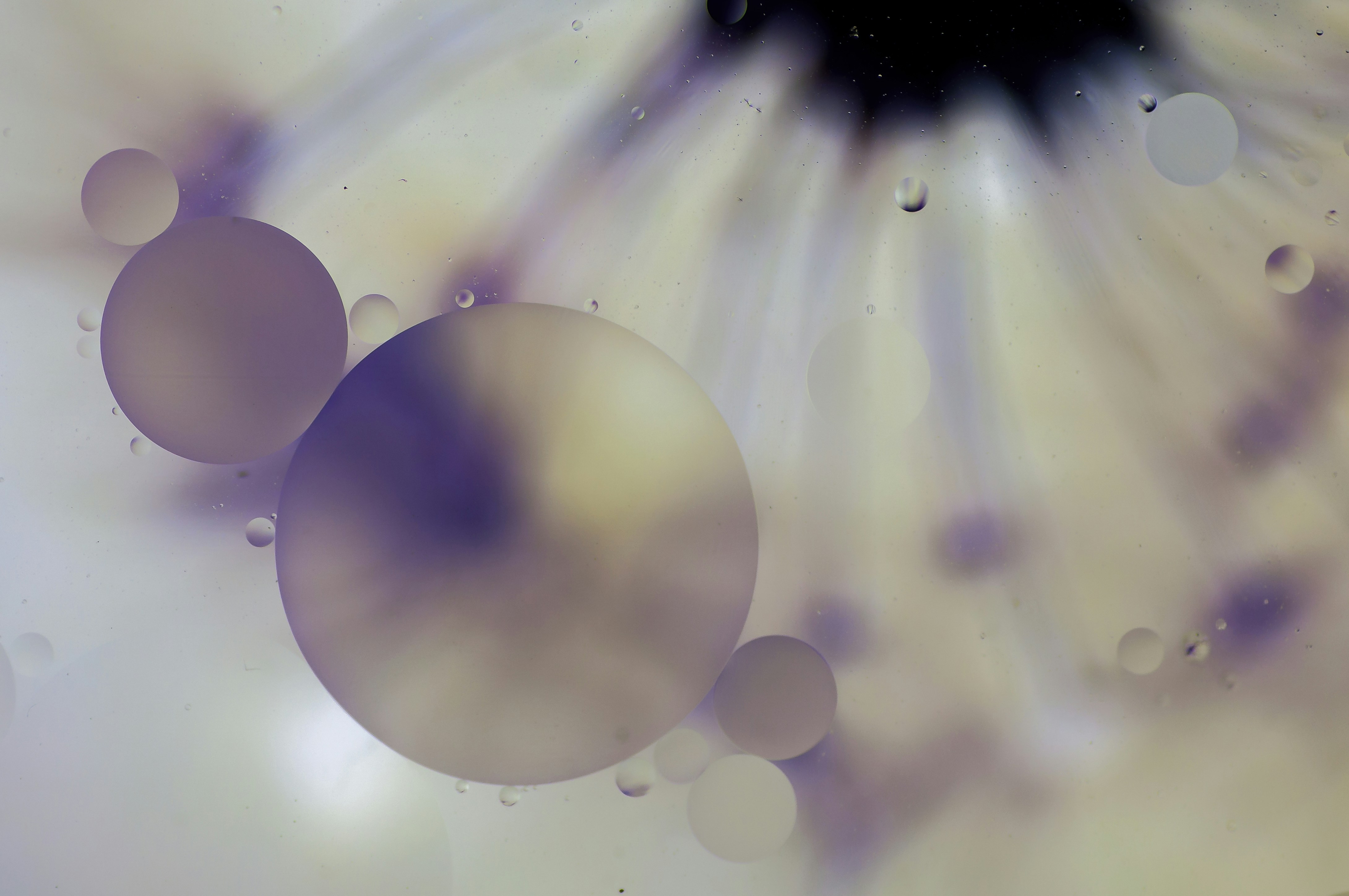 Photo by thom_oxford