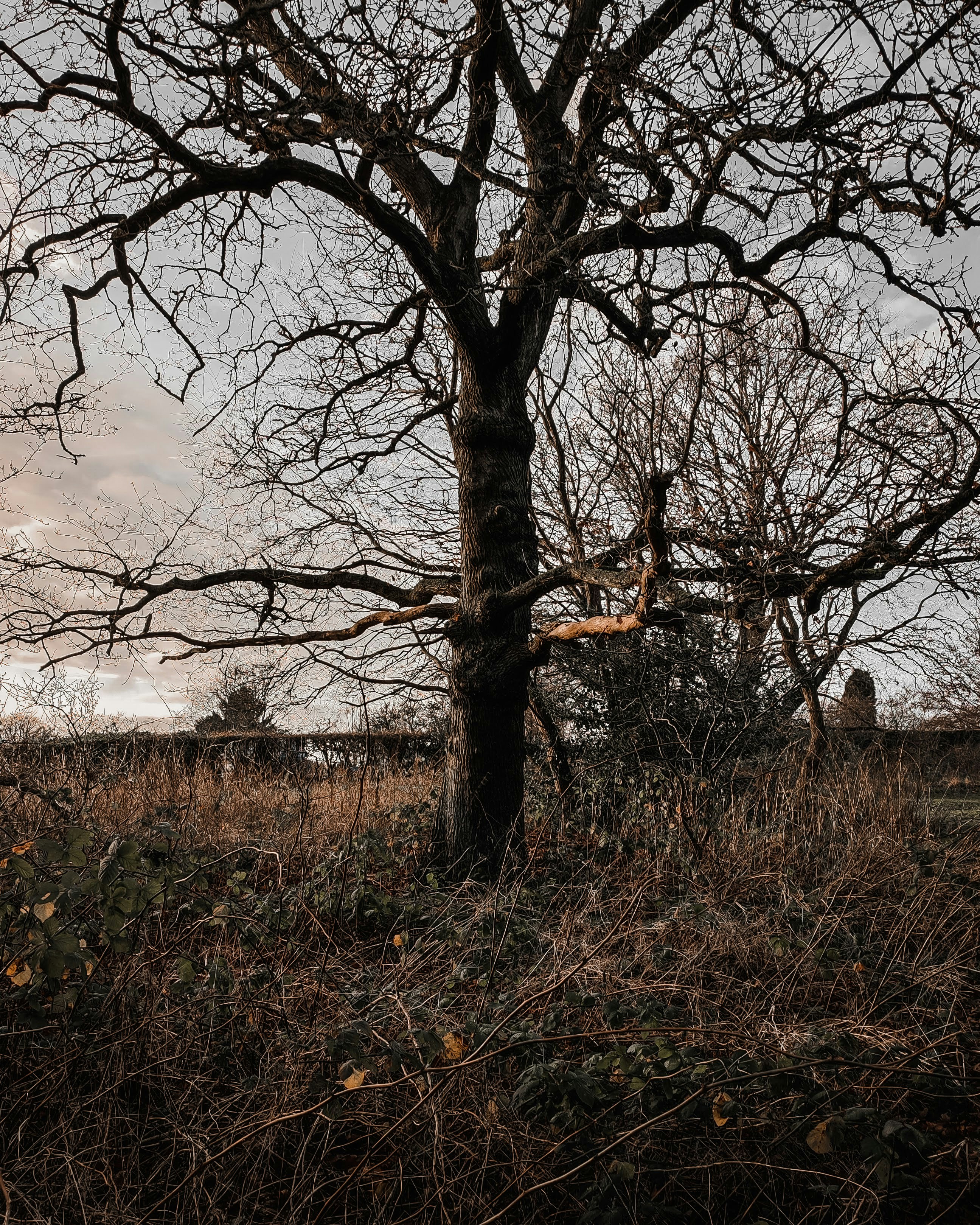 Photo by simoncheung207